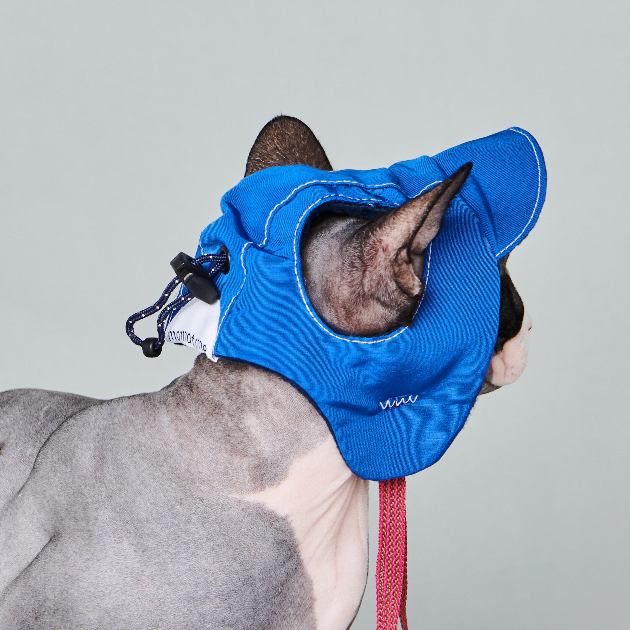 yama paws / aviator hat navy