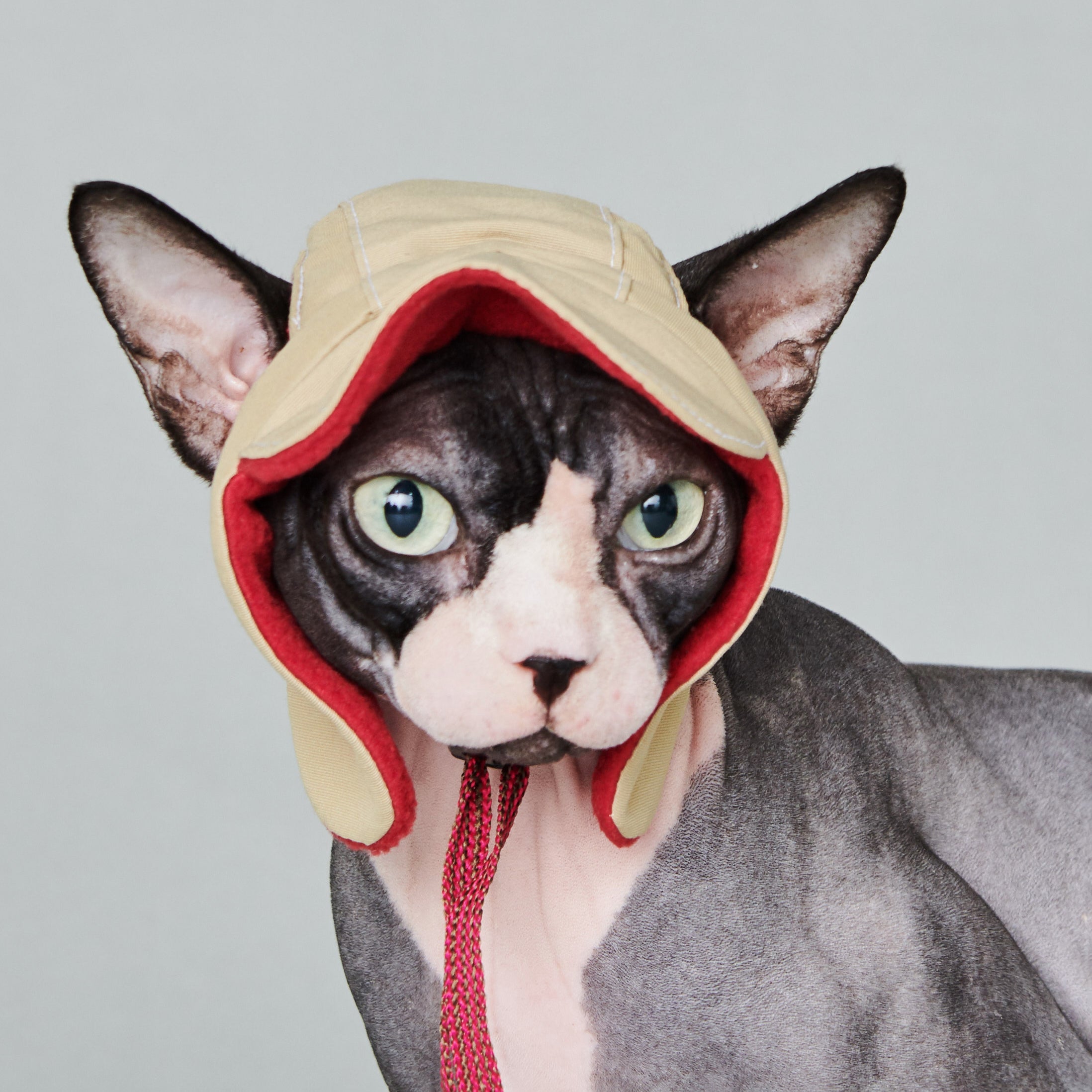 yama paws / aviator hat beige