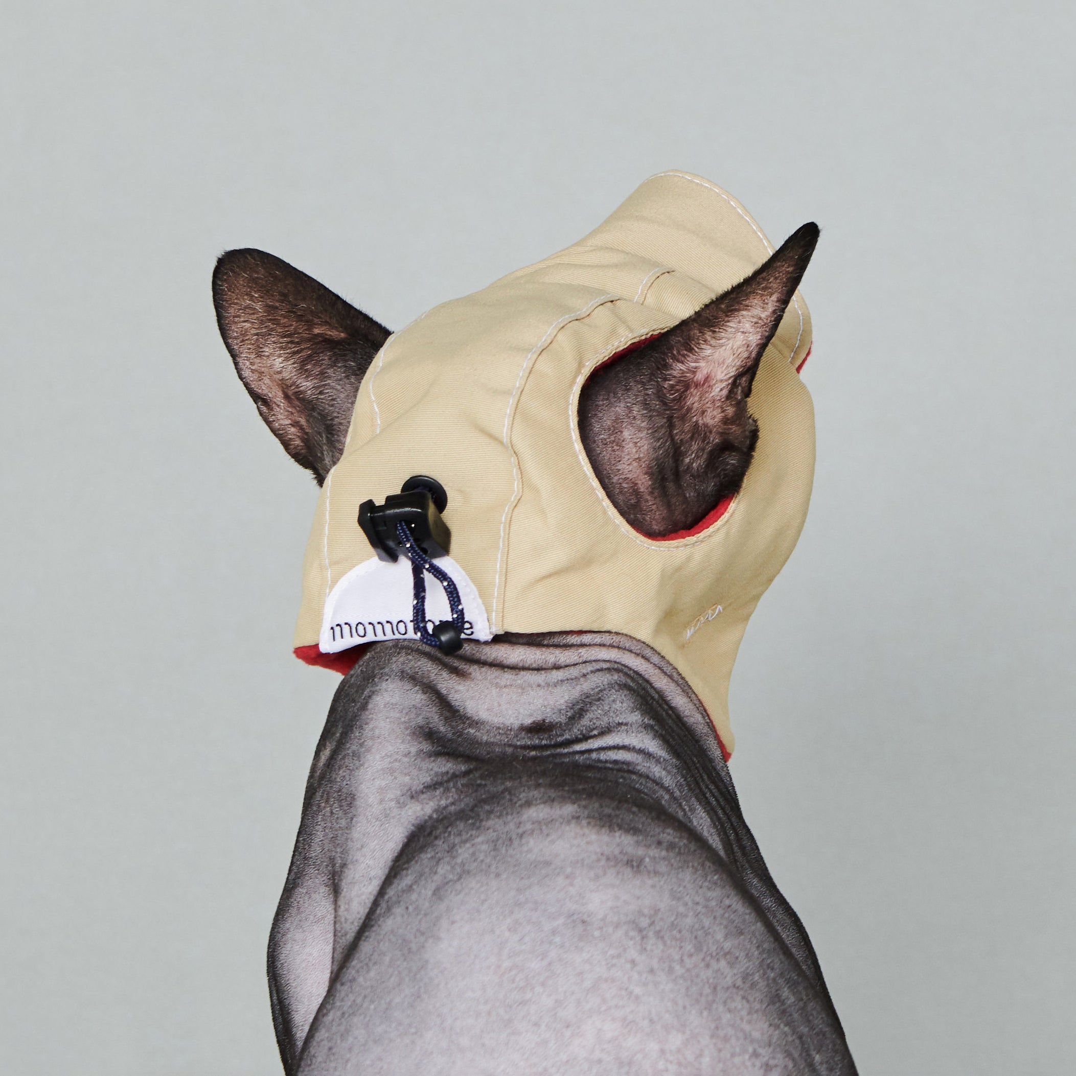 yama paws / aviator hat beige