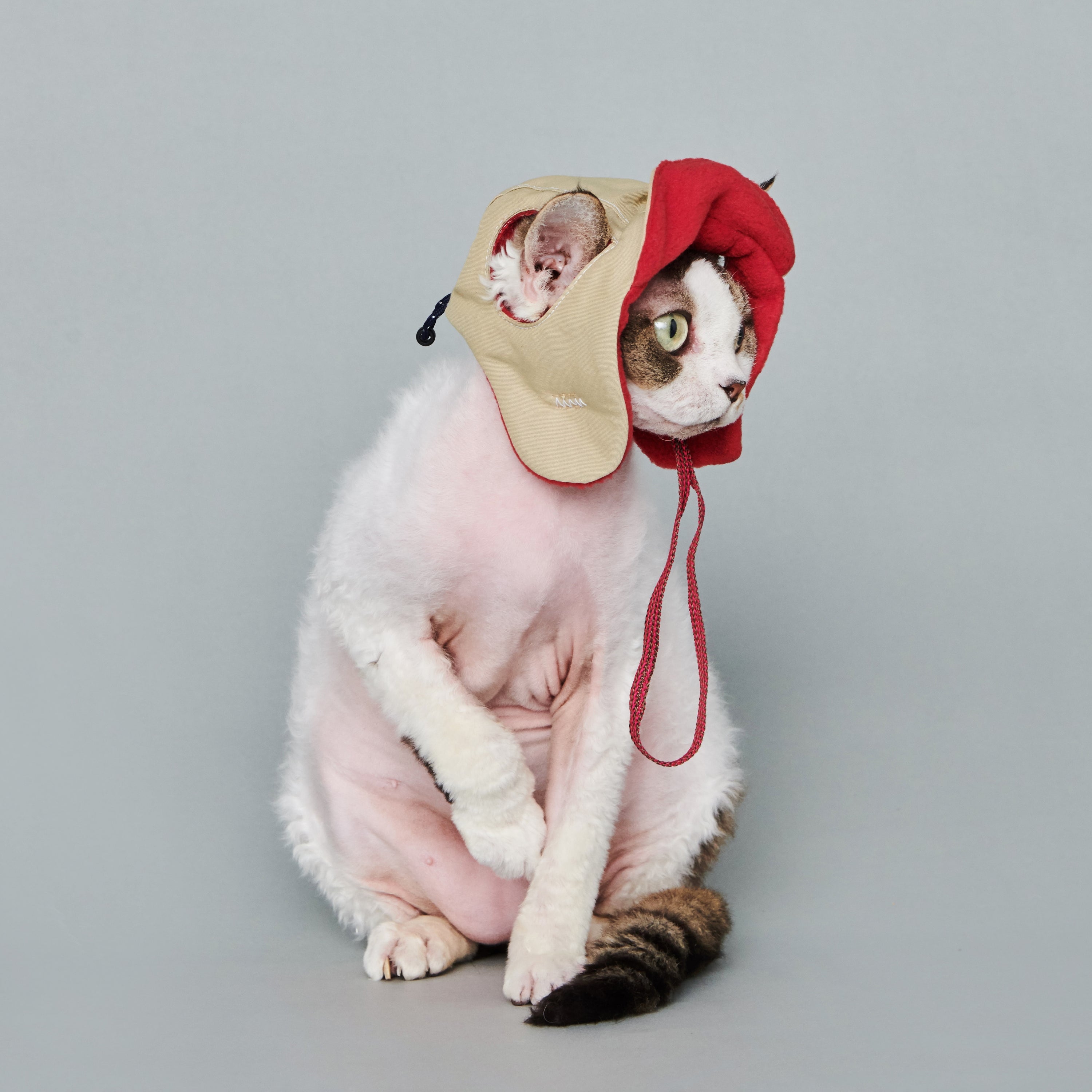yama paws / aviator hat beige