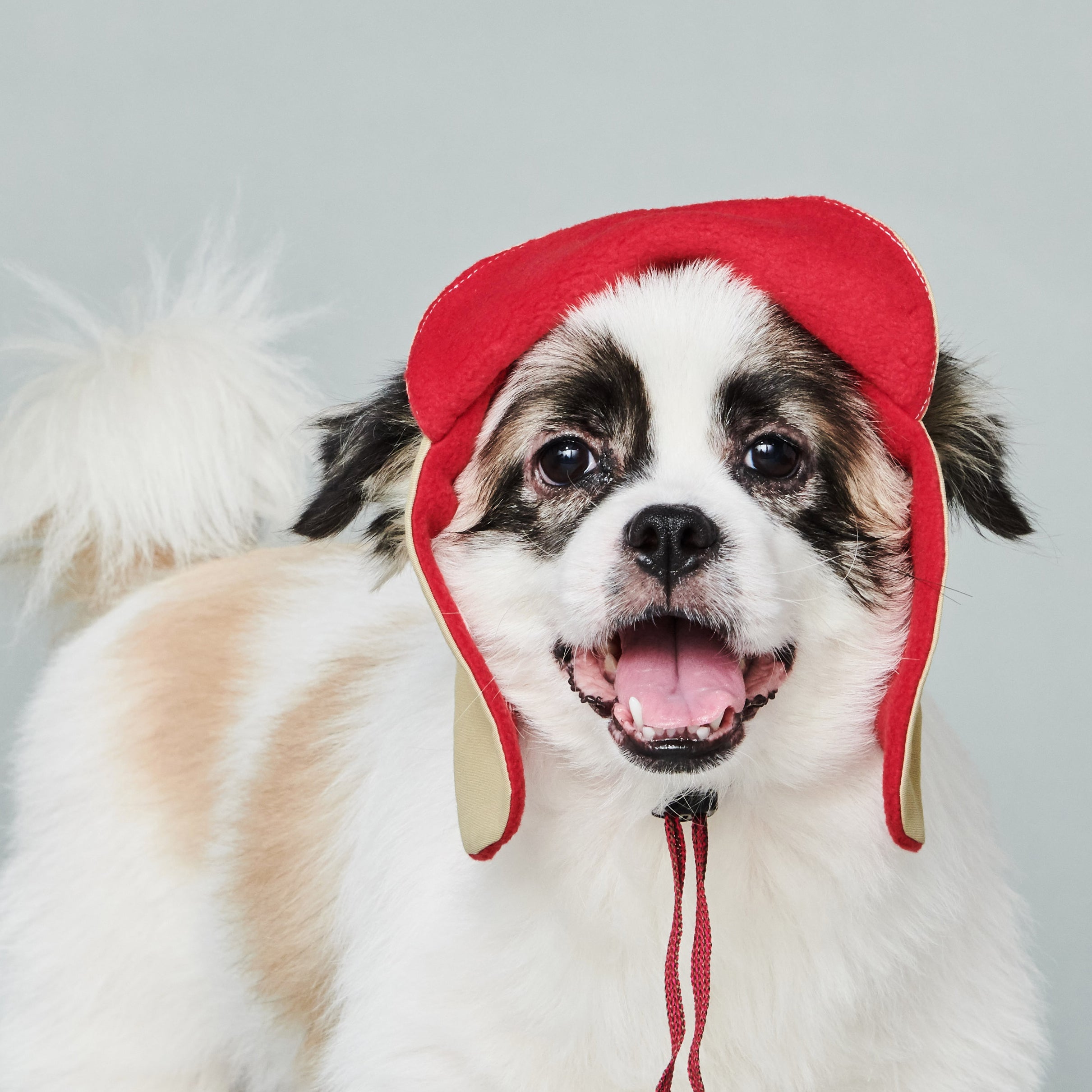 yama paws / aviator hat beige