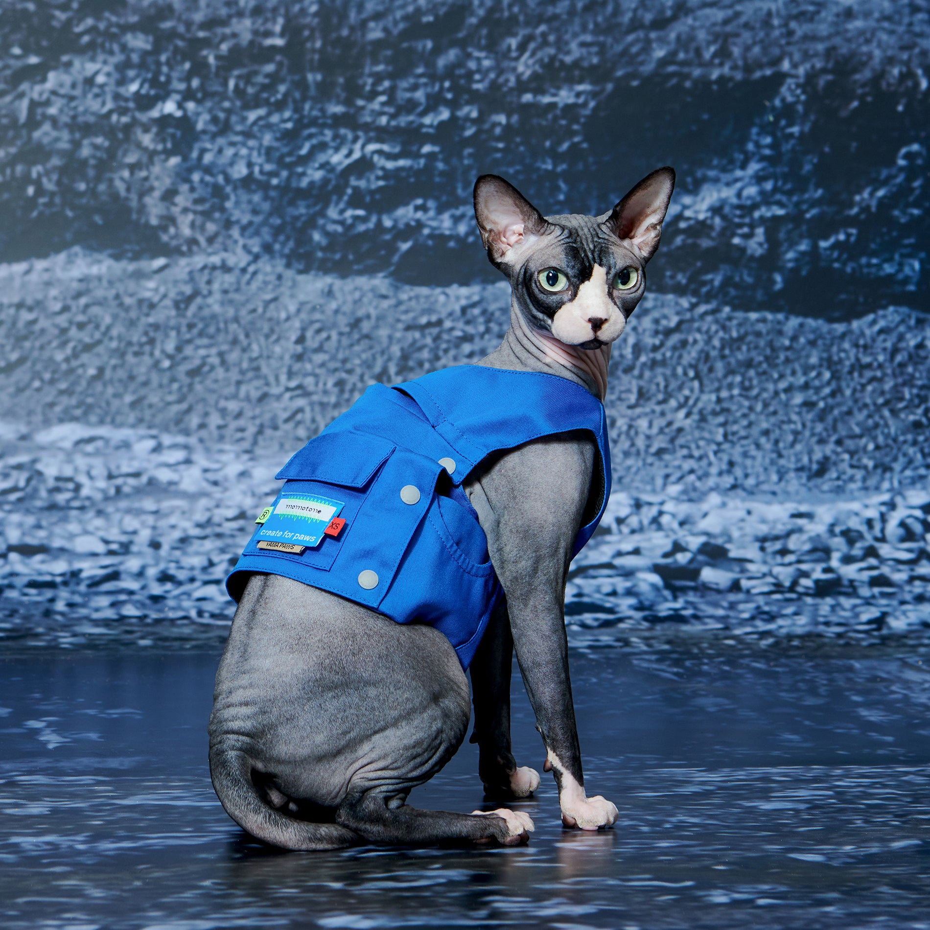 yama paws / equinox workwear vest blue