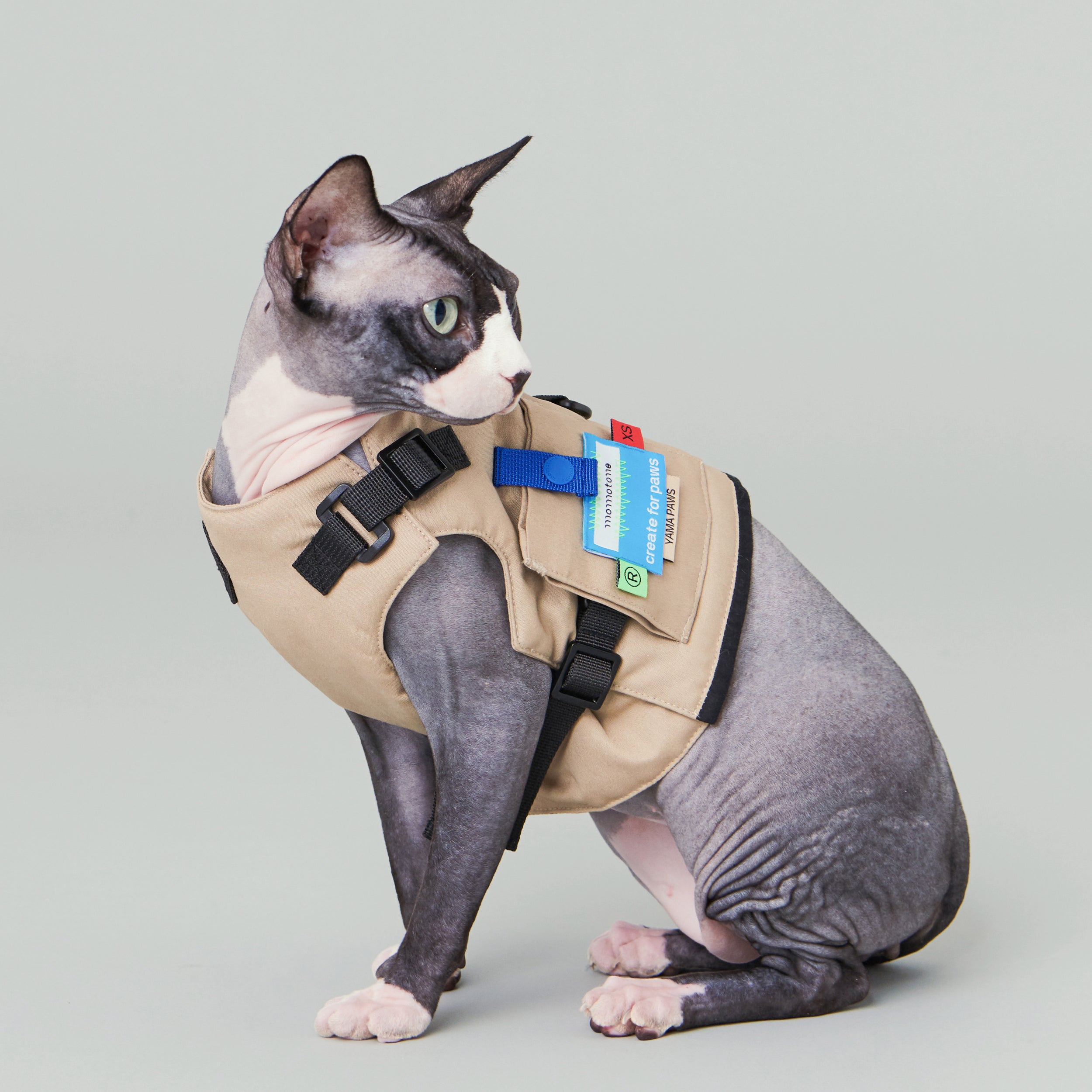yama paws / cedar harness jacket