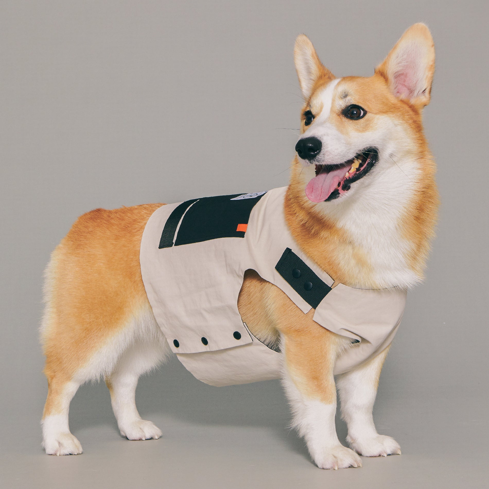 yama paws / technical vest offwhite