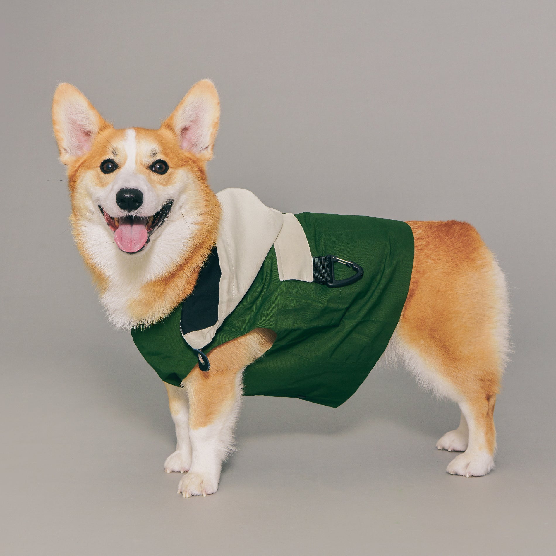 yama paws / zephyr windrunner green