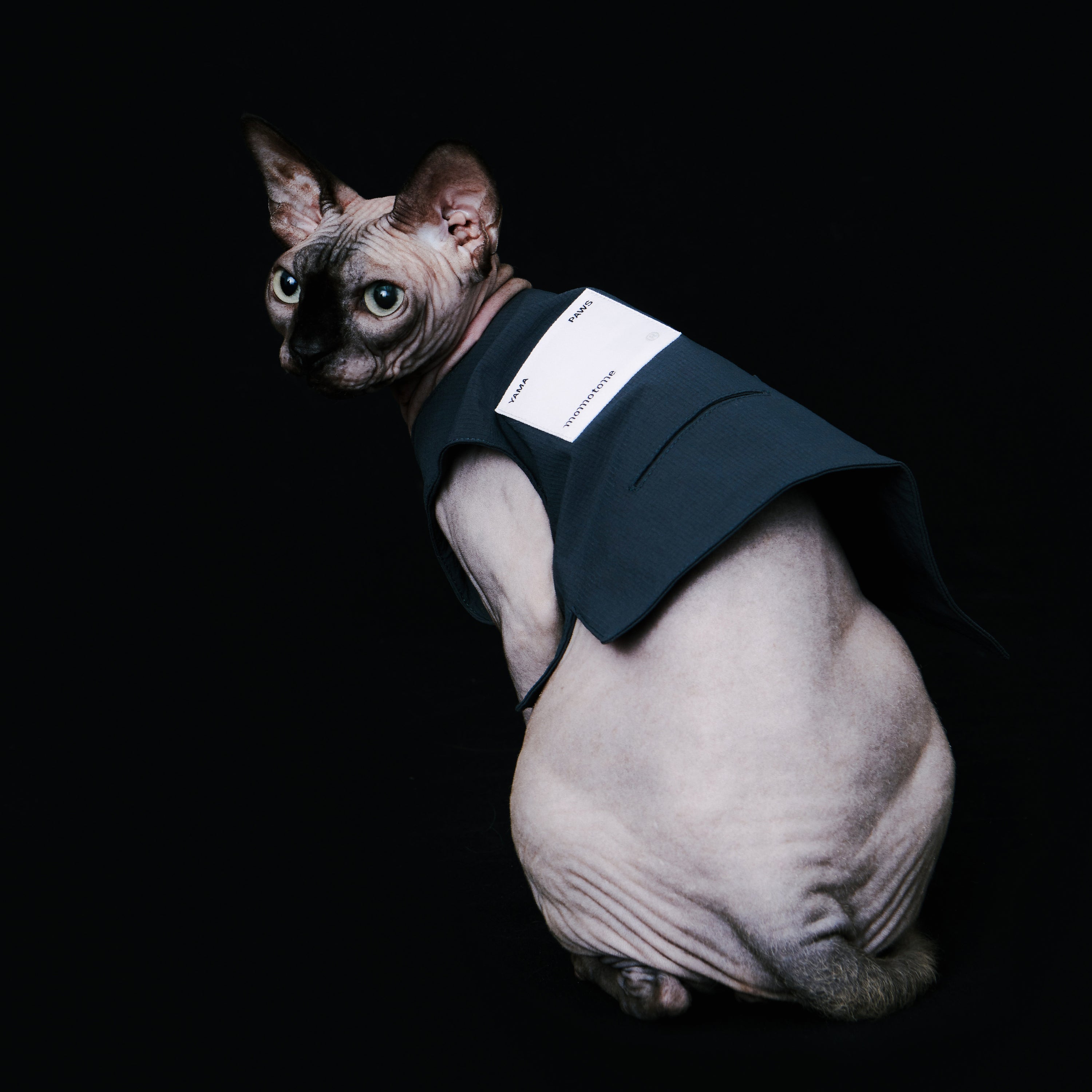 yama paws / basalt vest grey
