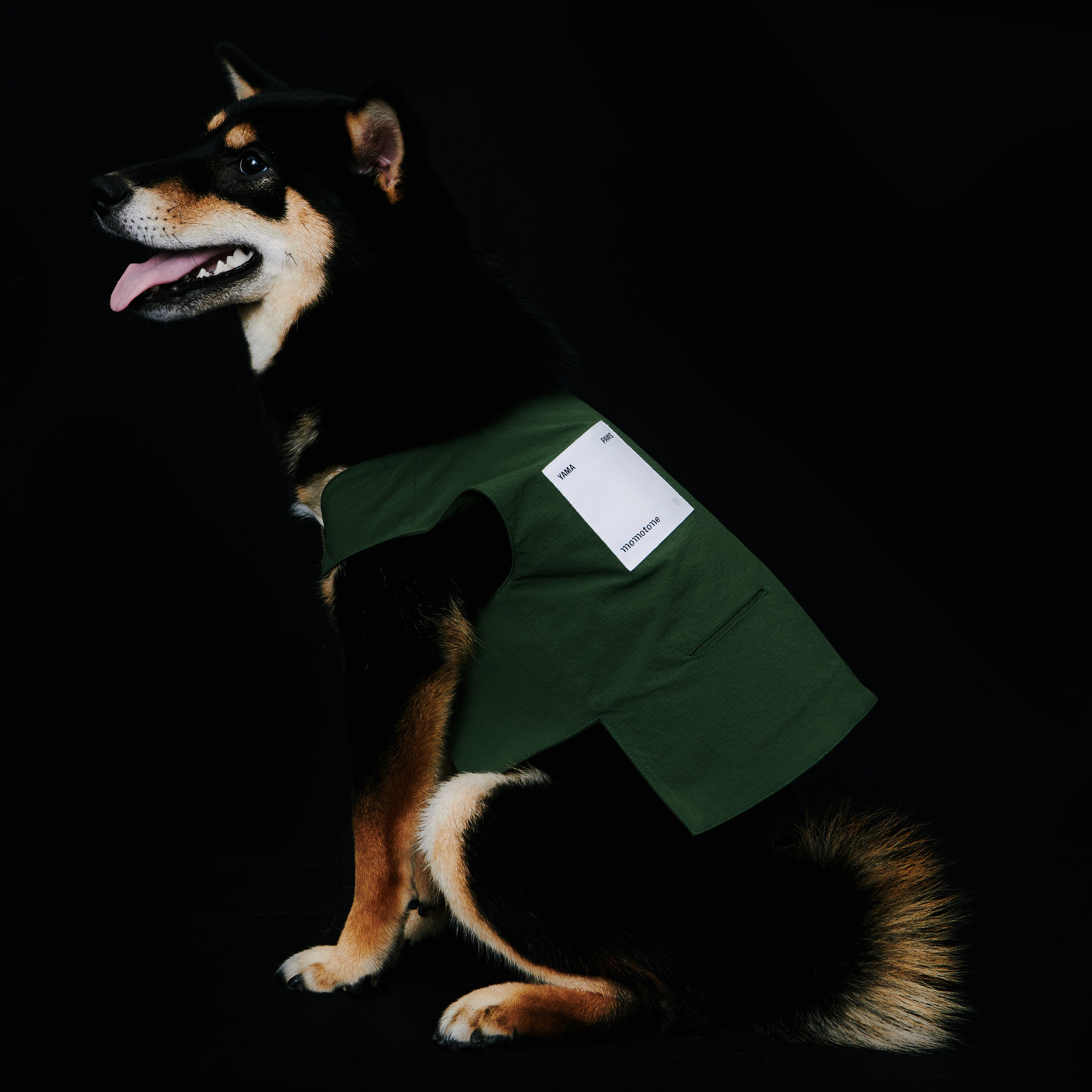 yama paws / basalt vest green