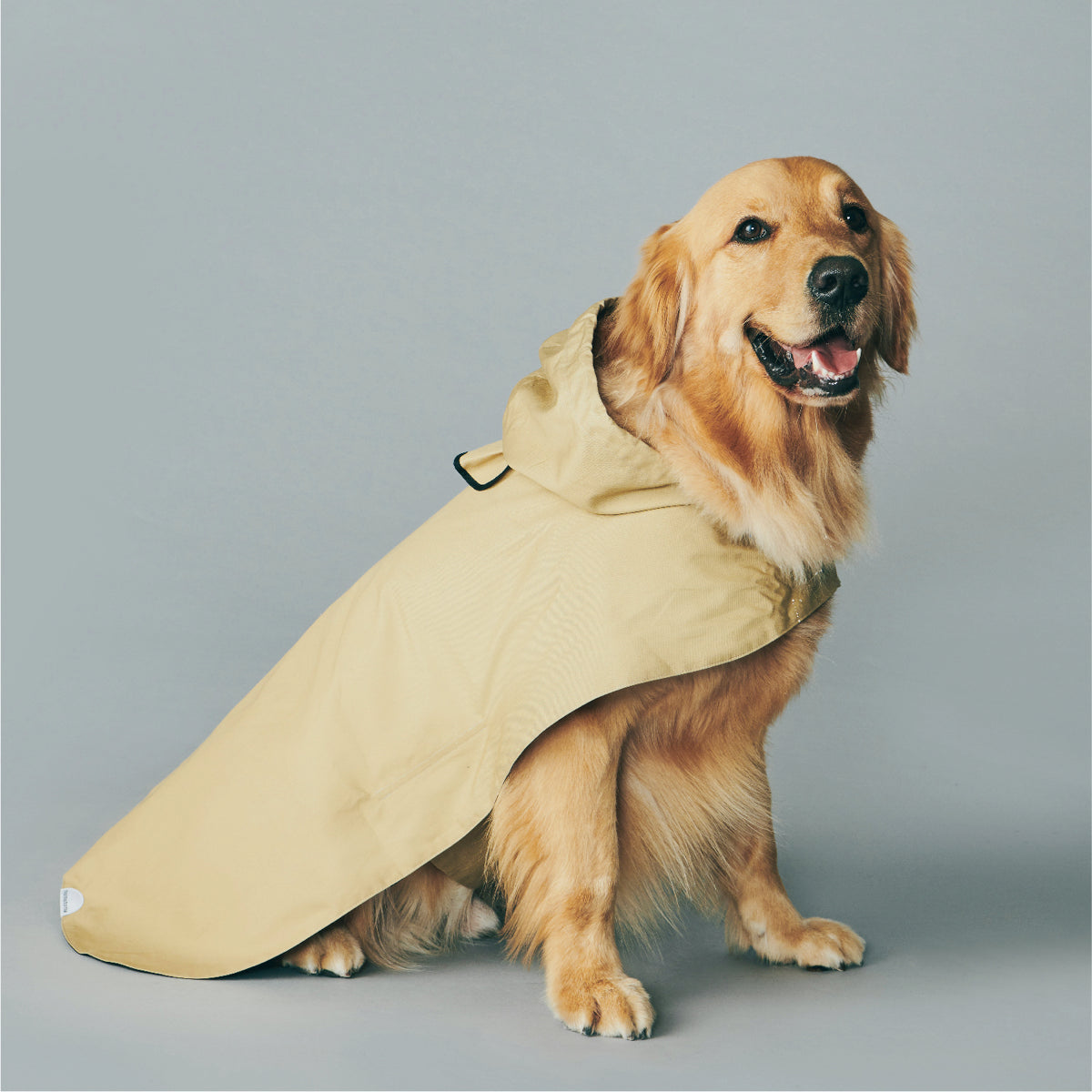 yama paws / utility coat beige