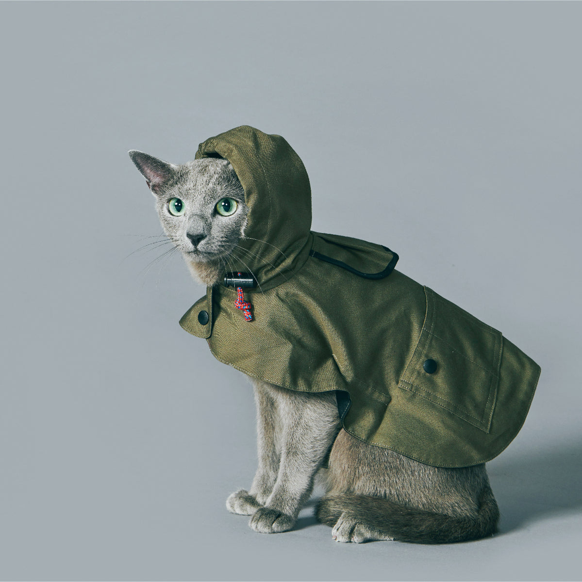 yama paws / utility coat green