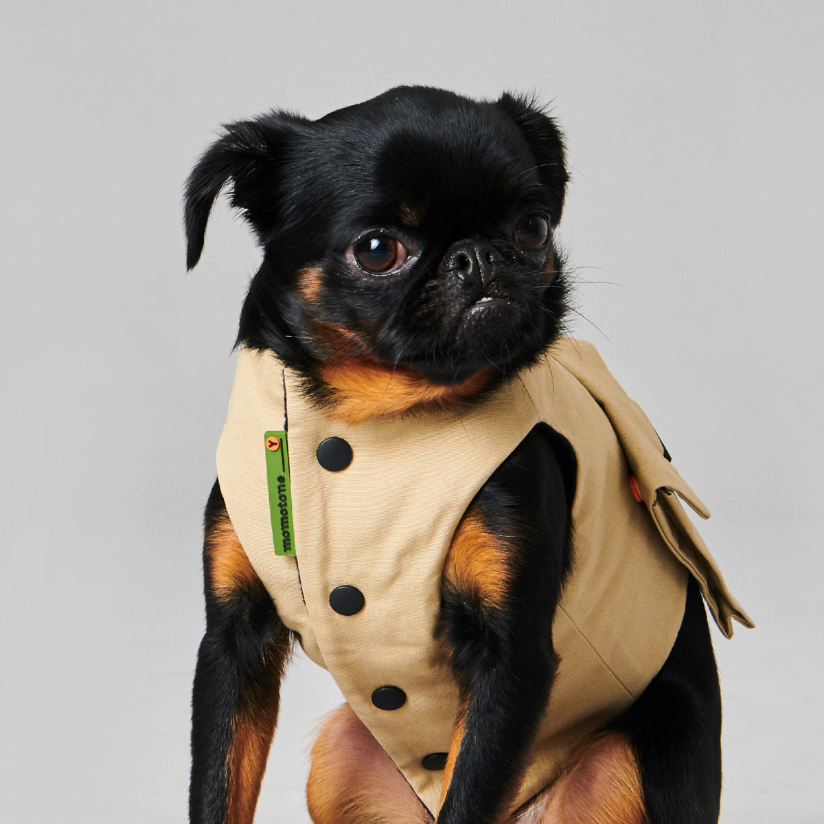yama paws / explorer jacket beige
