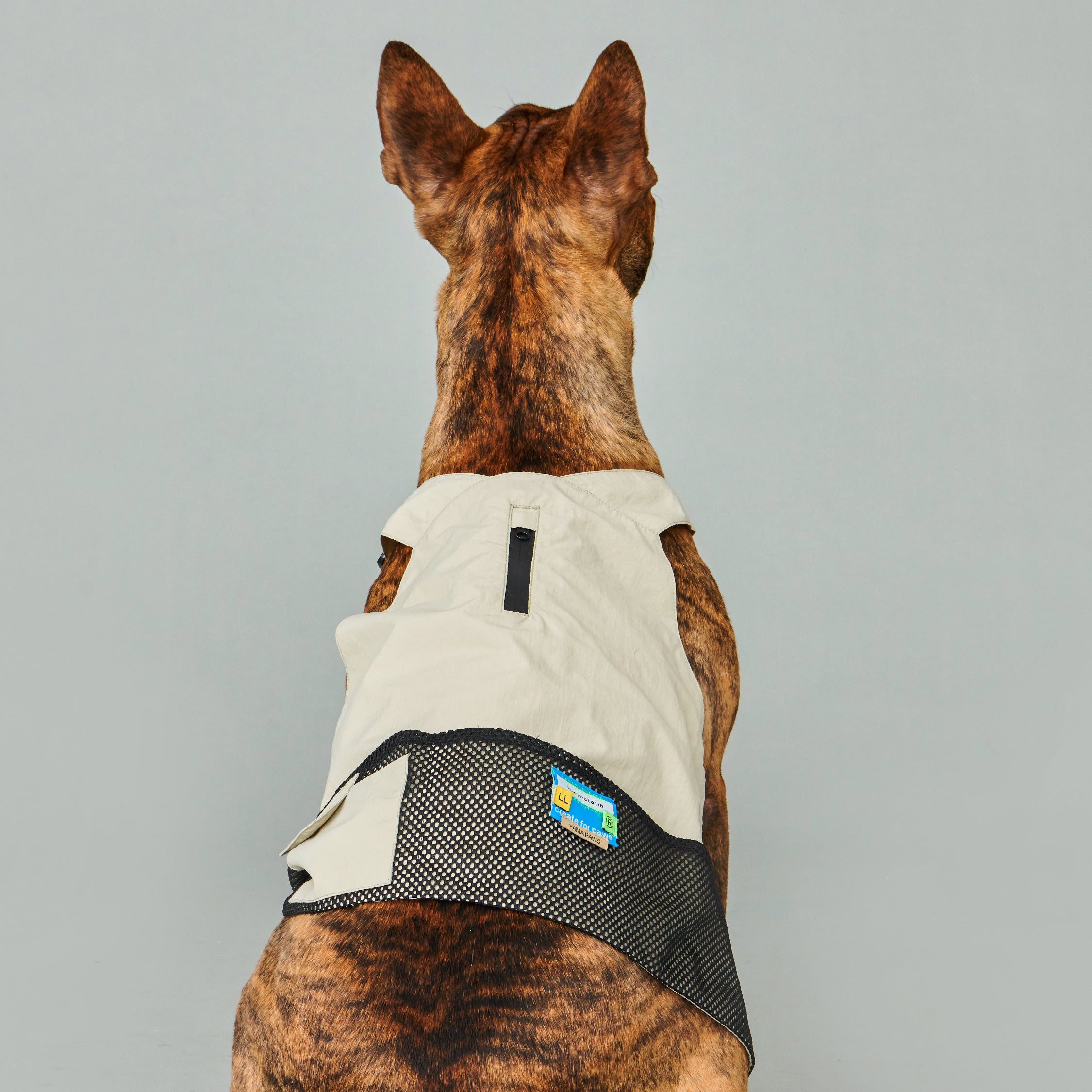 yama paws / montagna vest light grey