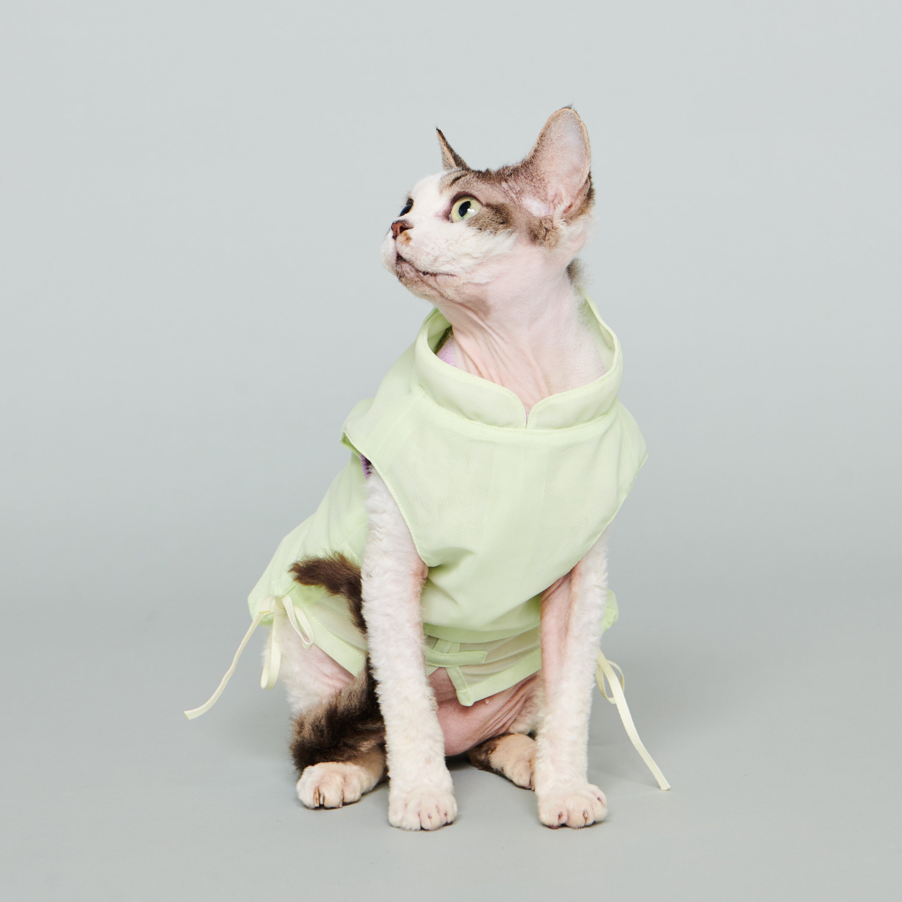 asteroid / andersen mesh jacket lime yellow
