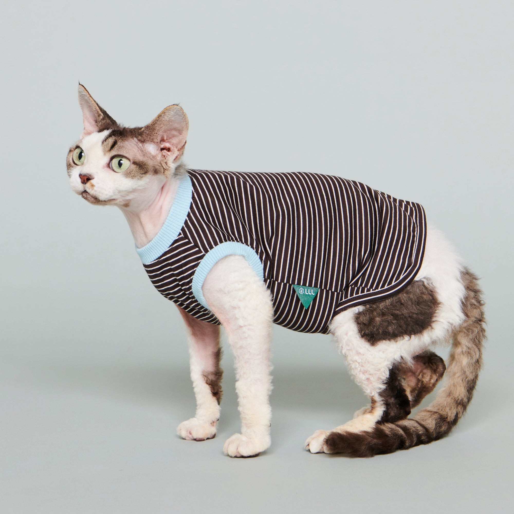 basics / striped vest oreum