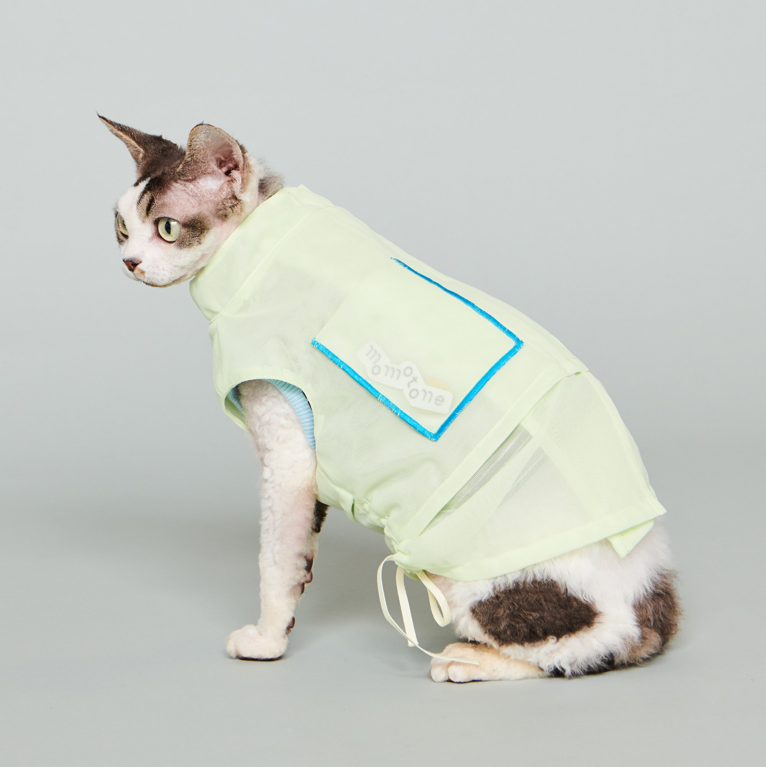 asteroid / andersen mesh jacket lime yellow