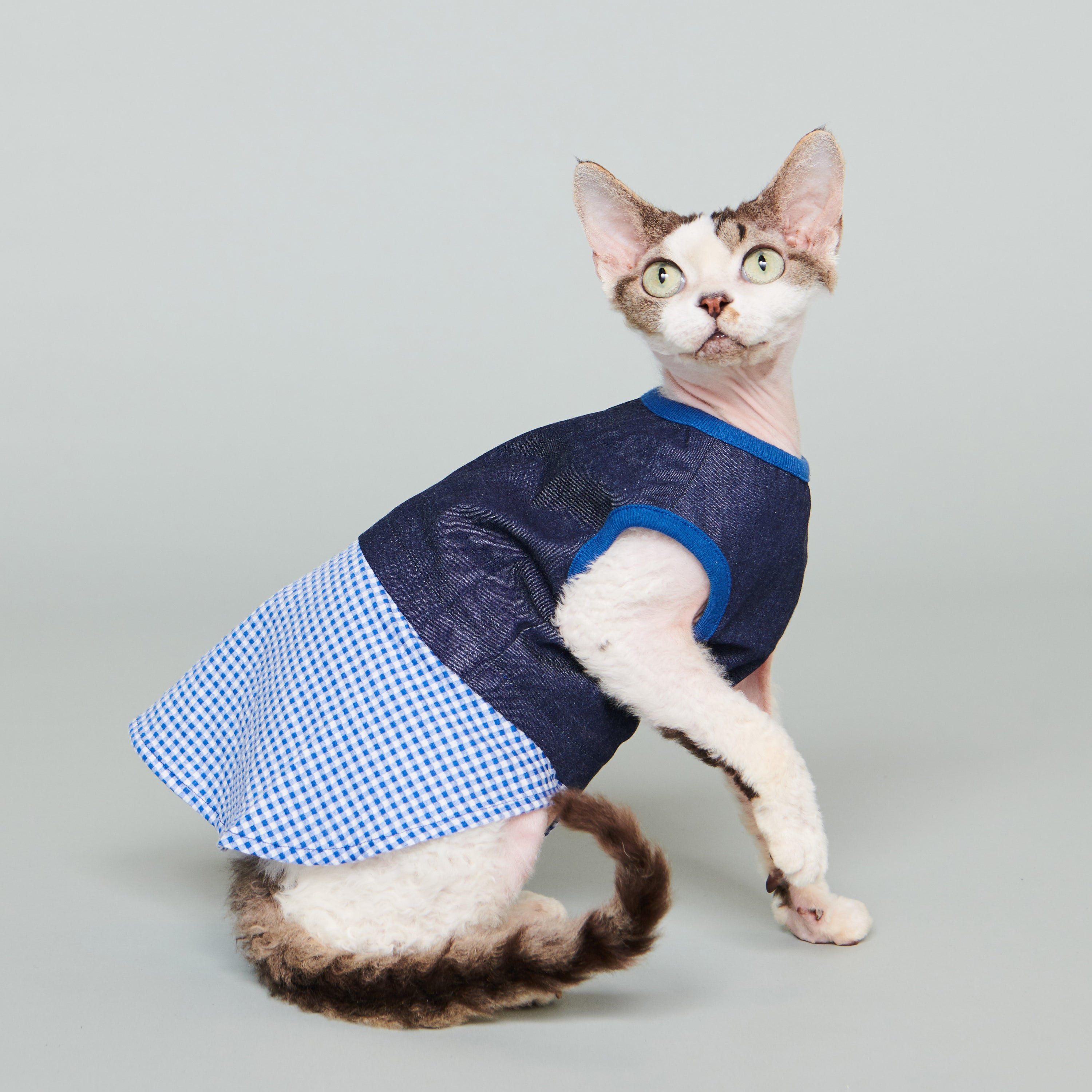bleu / 2.0 denim + gingham dark