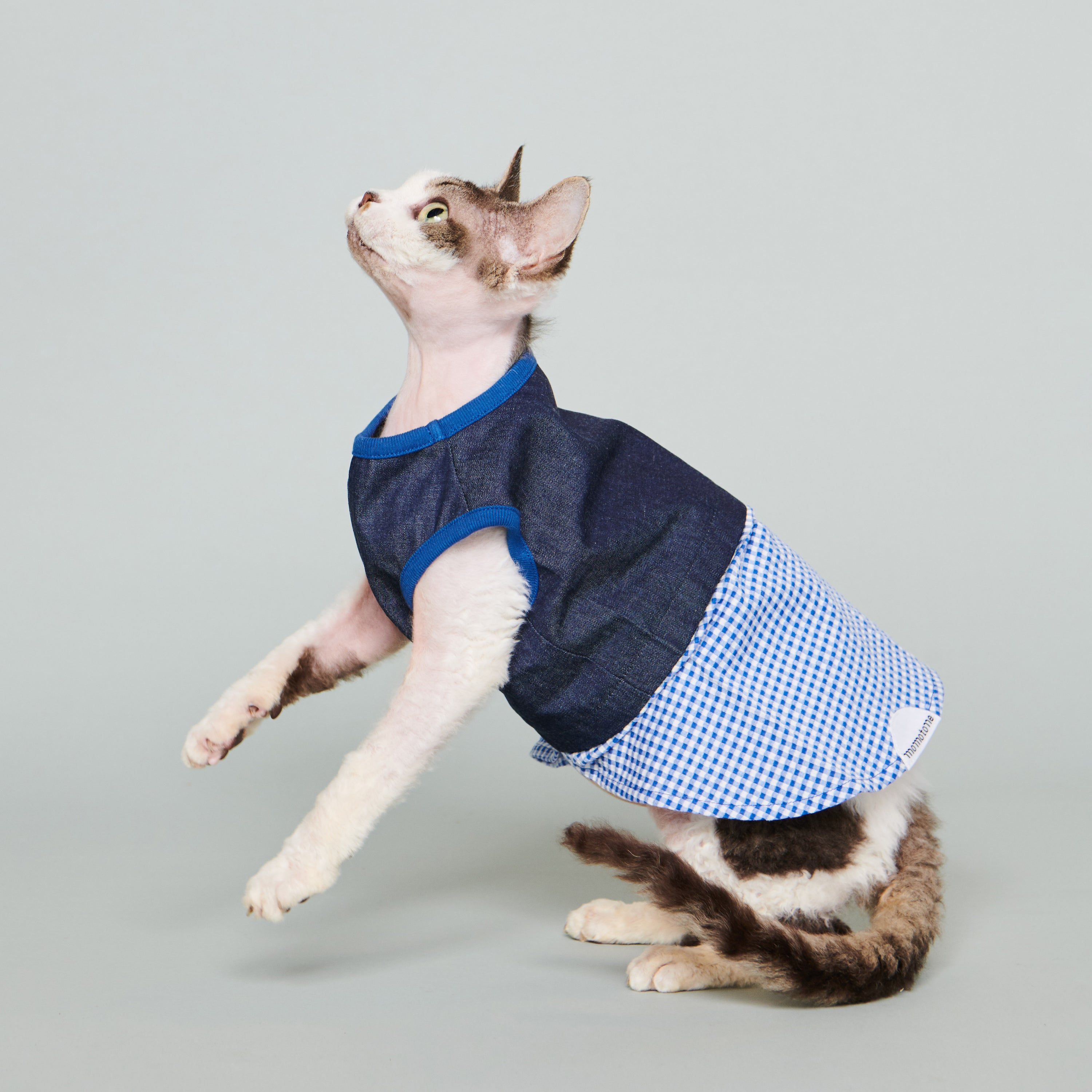 bleu / 2.0 denim + gingham dark
