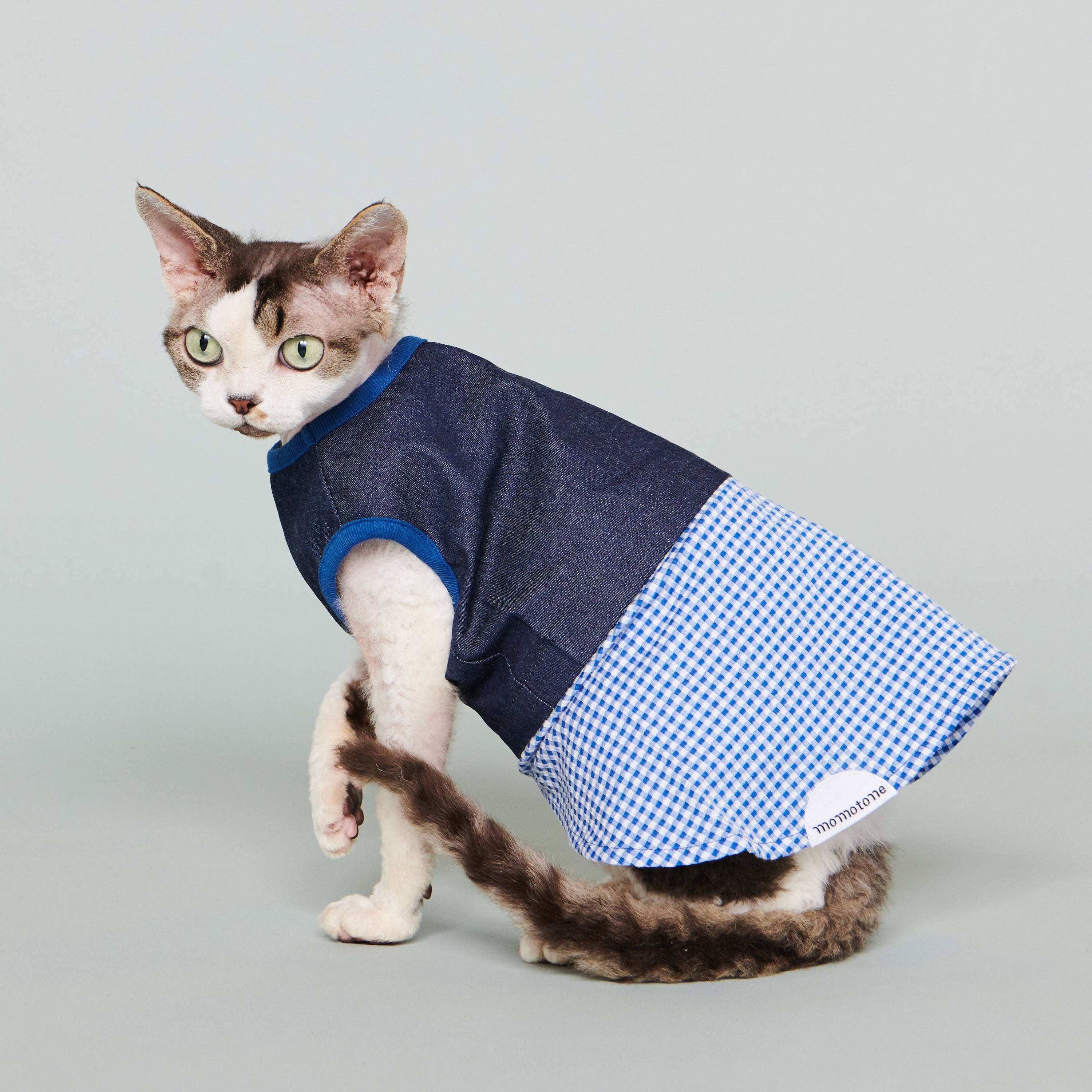 bleu / 2.0 denim + gingham dark