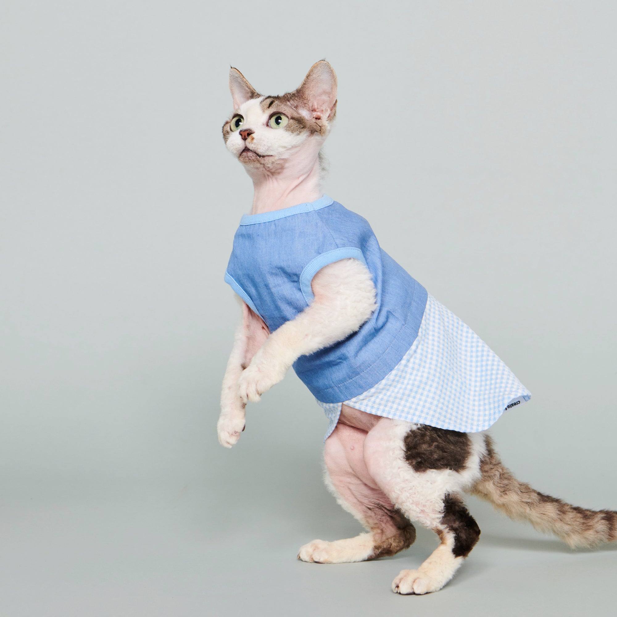 bleu / 2.0 denim + gingham light