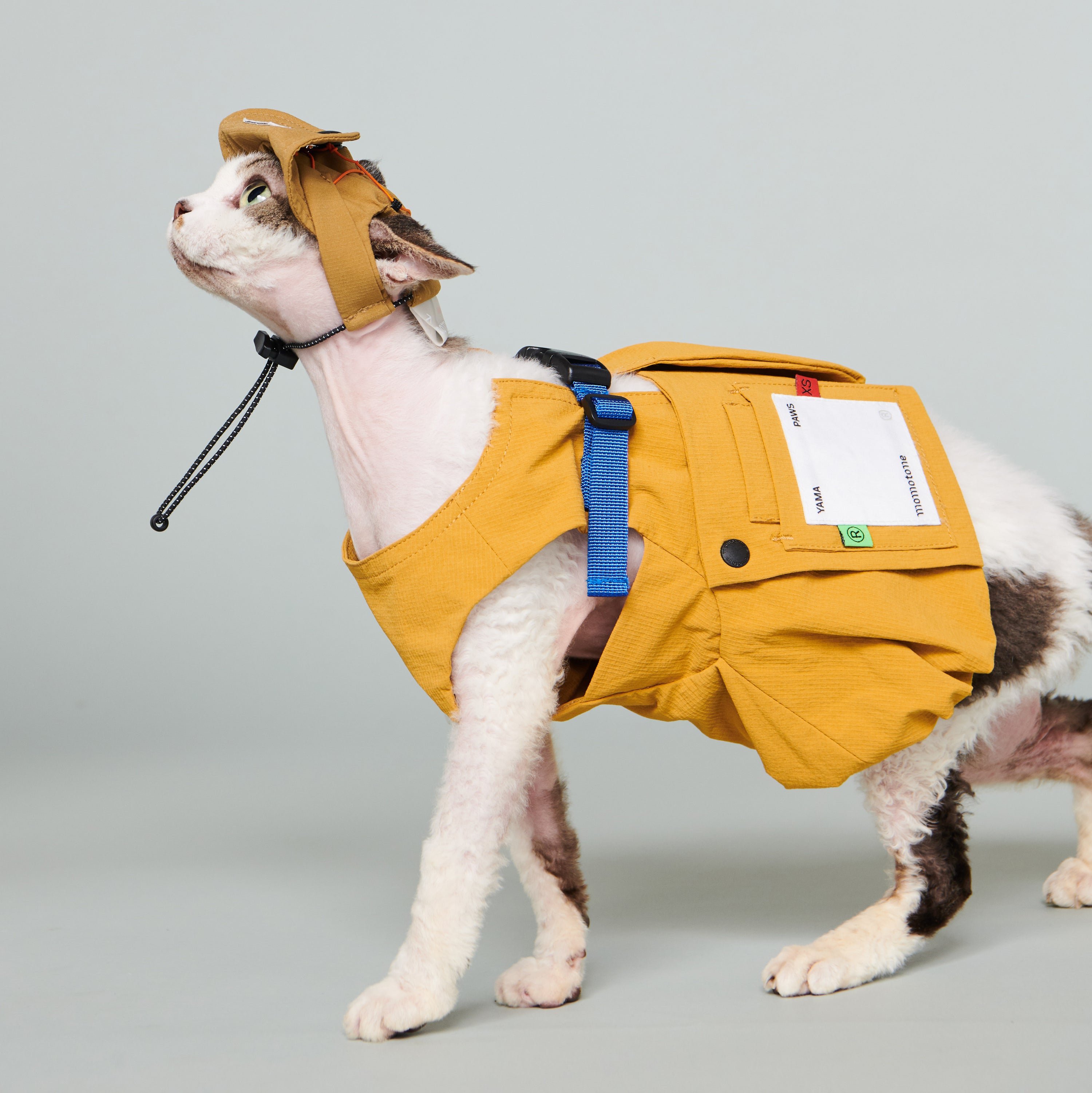 yama paws / soom vest mustard