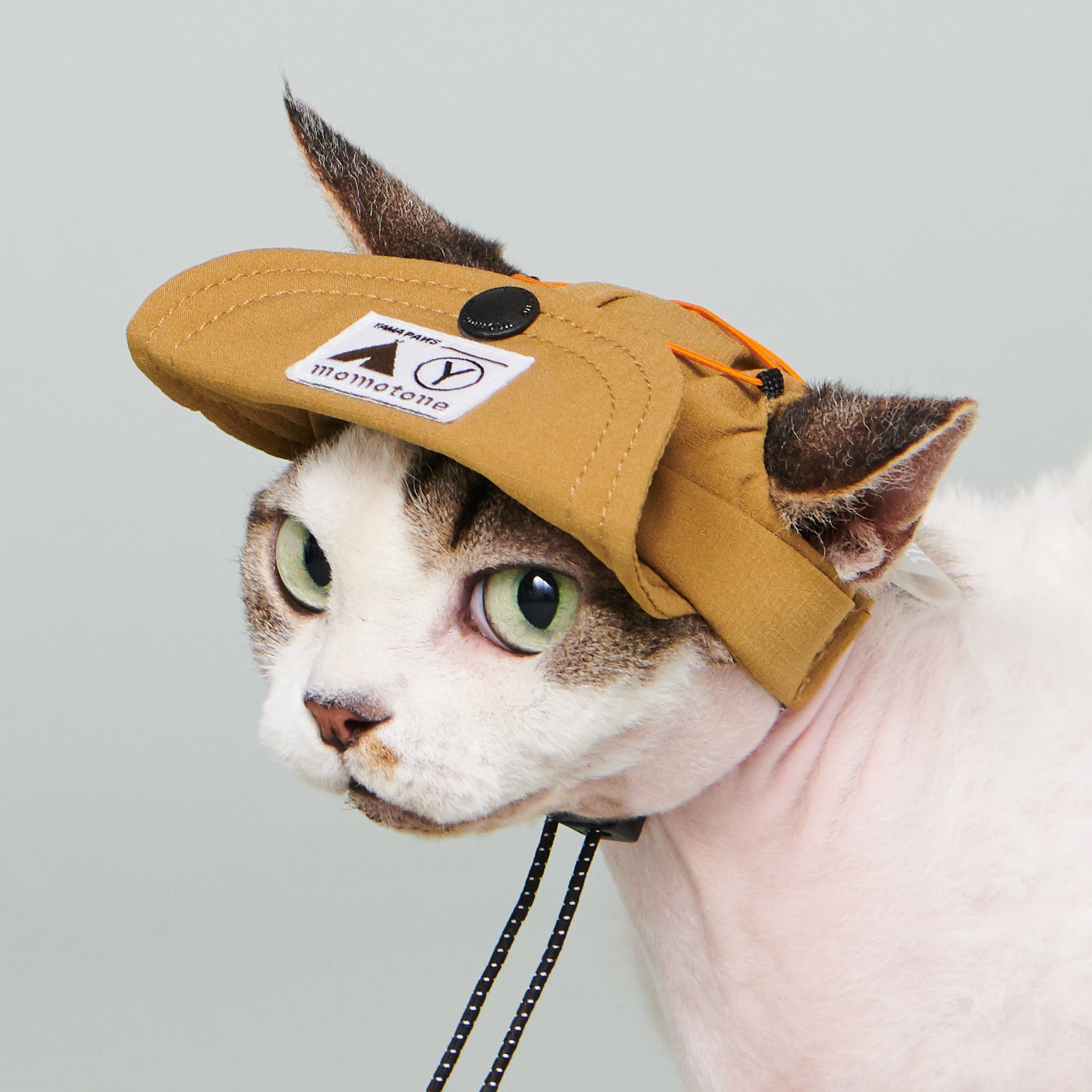 yama paws / baram cap mustard