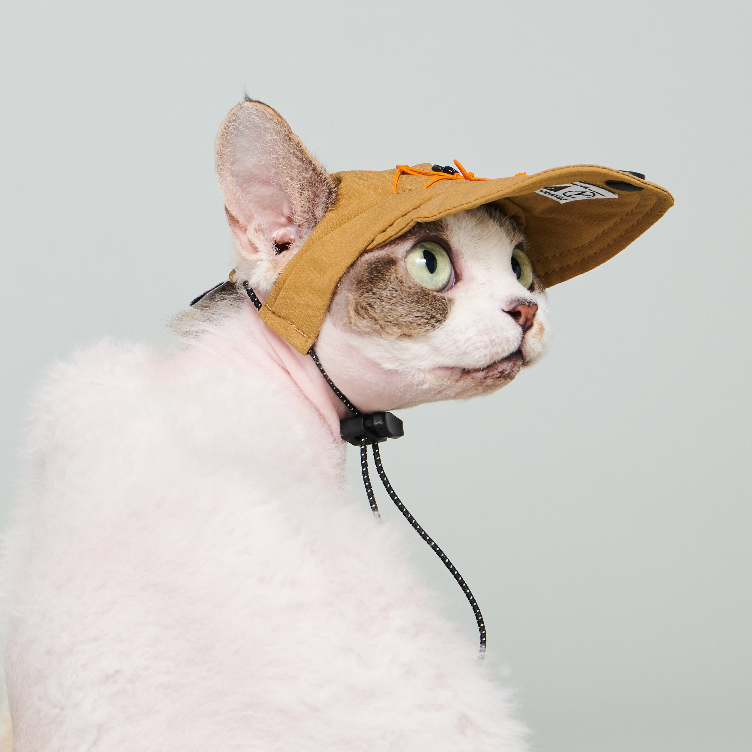 yama paws / baram cap mustard