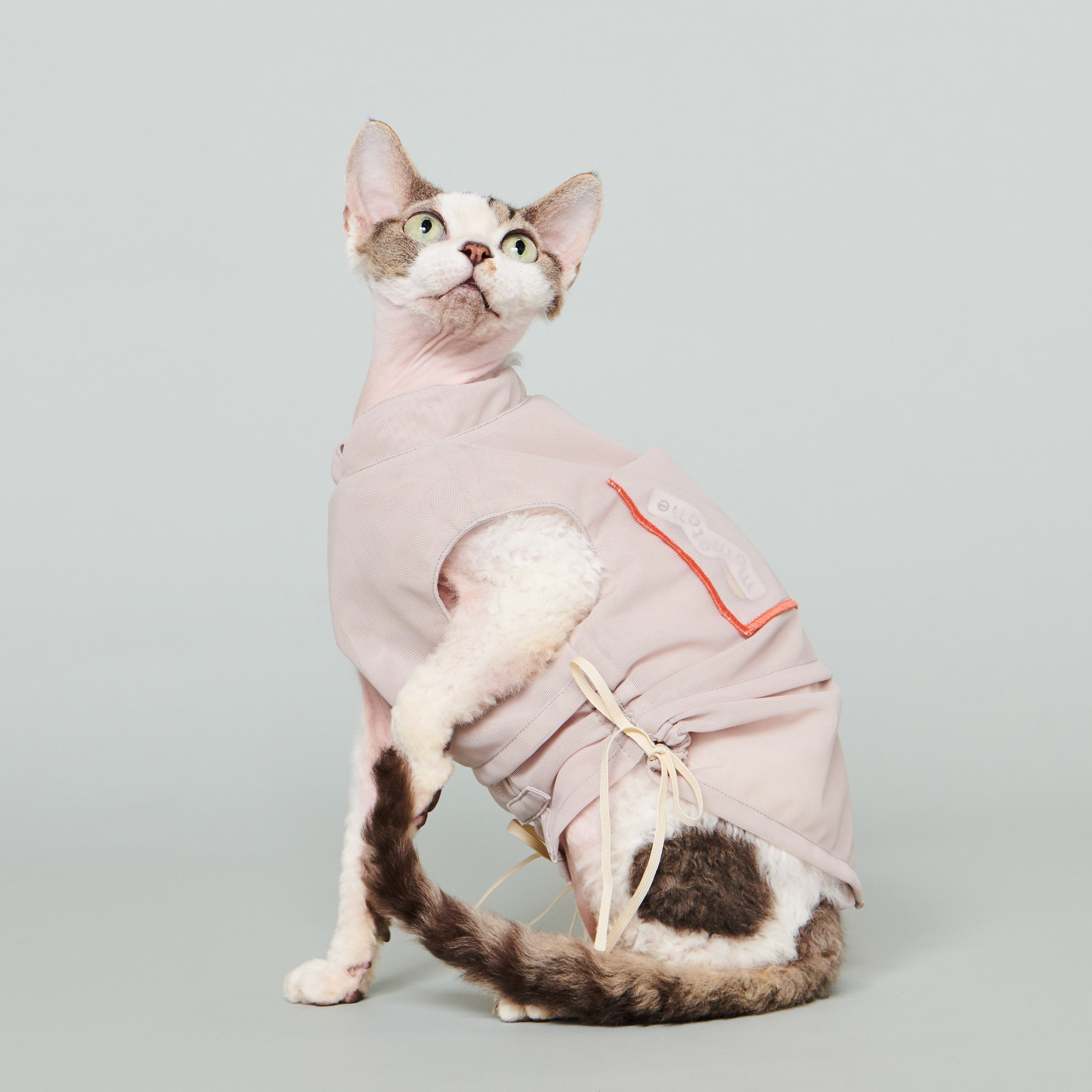 asteroid / andersen mesh jacket nude