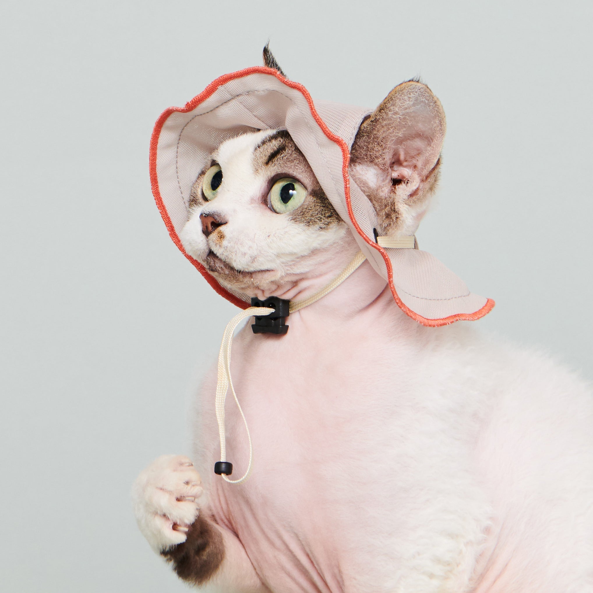 asteroid / andersen mesh petal hat nude