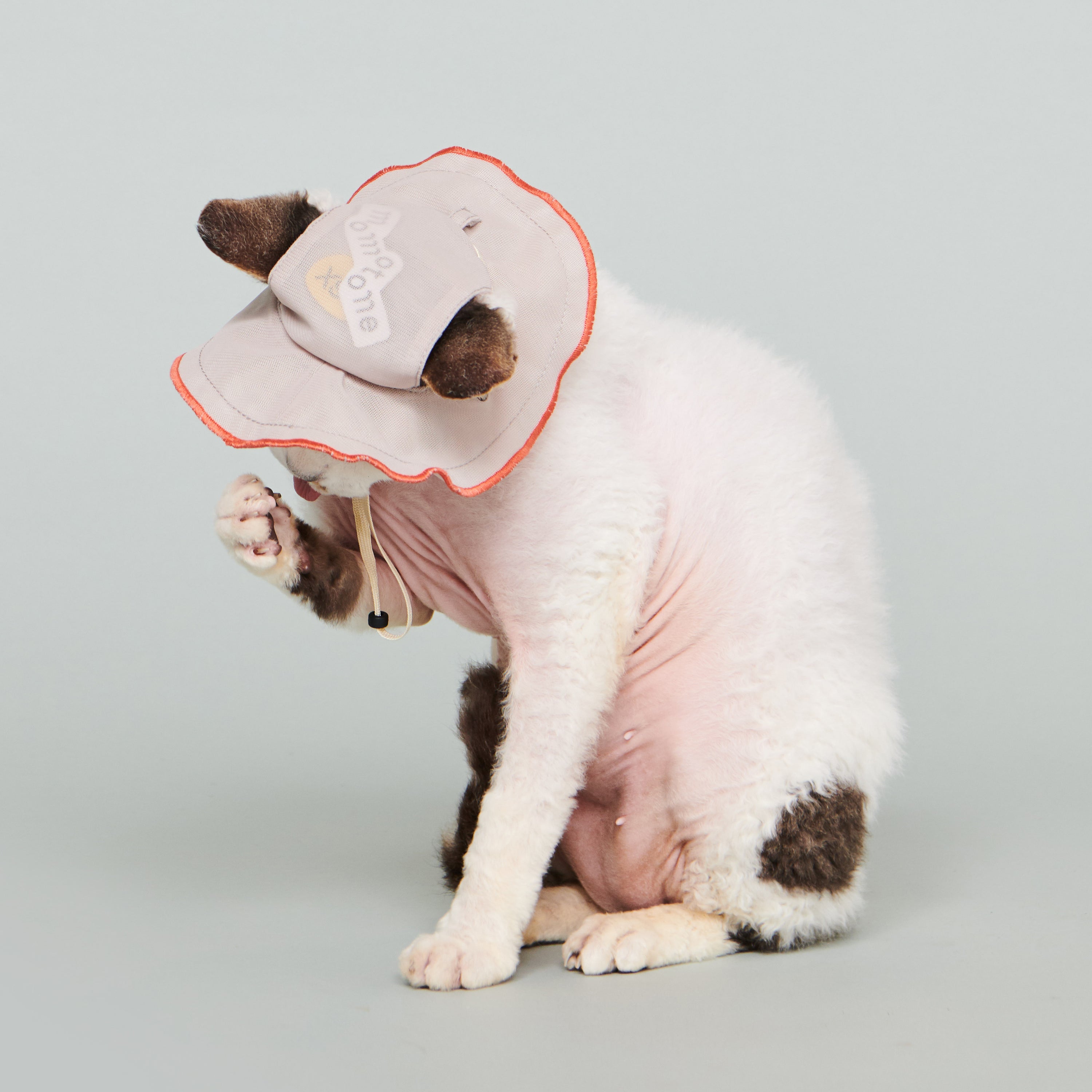 asteroid / andersen mesh petal hat nude