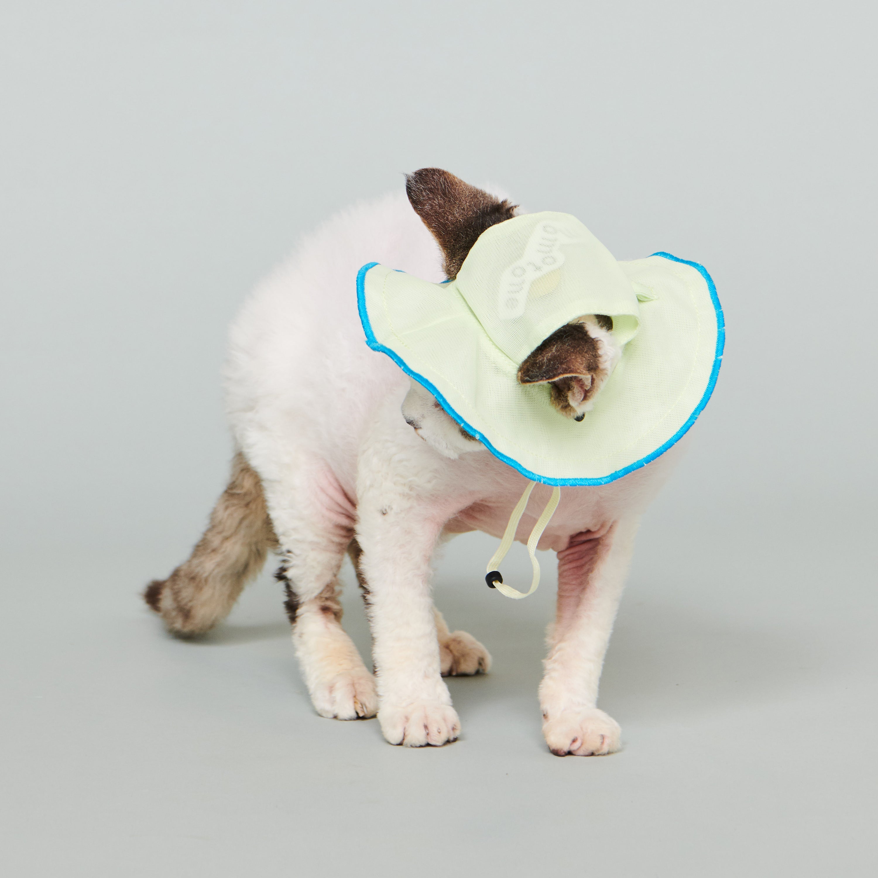 asteroid / andersen mesh petal hat lime yellow