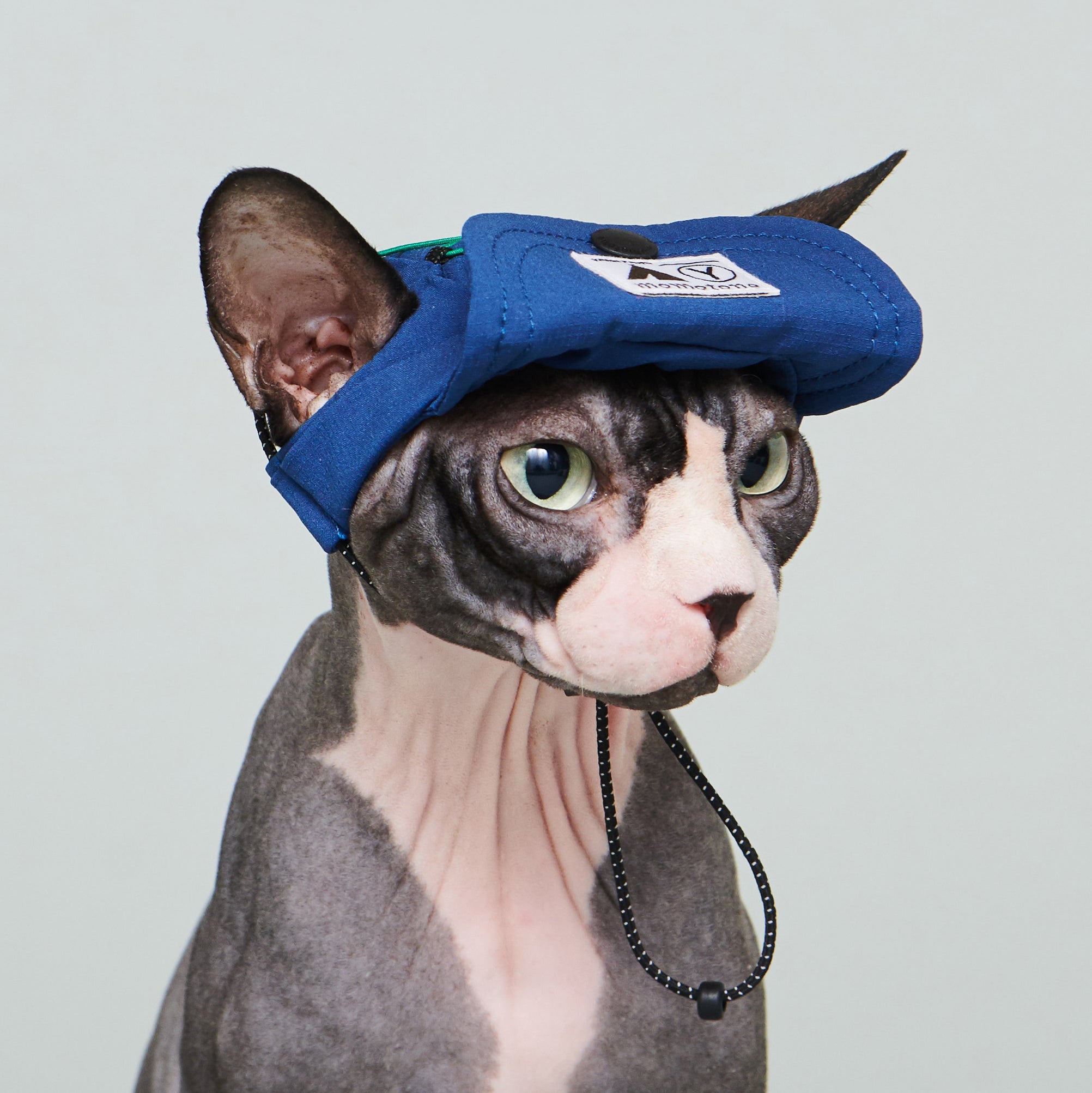 yama paws / baram cap navy