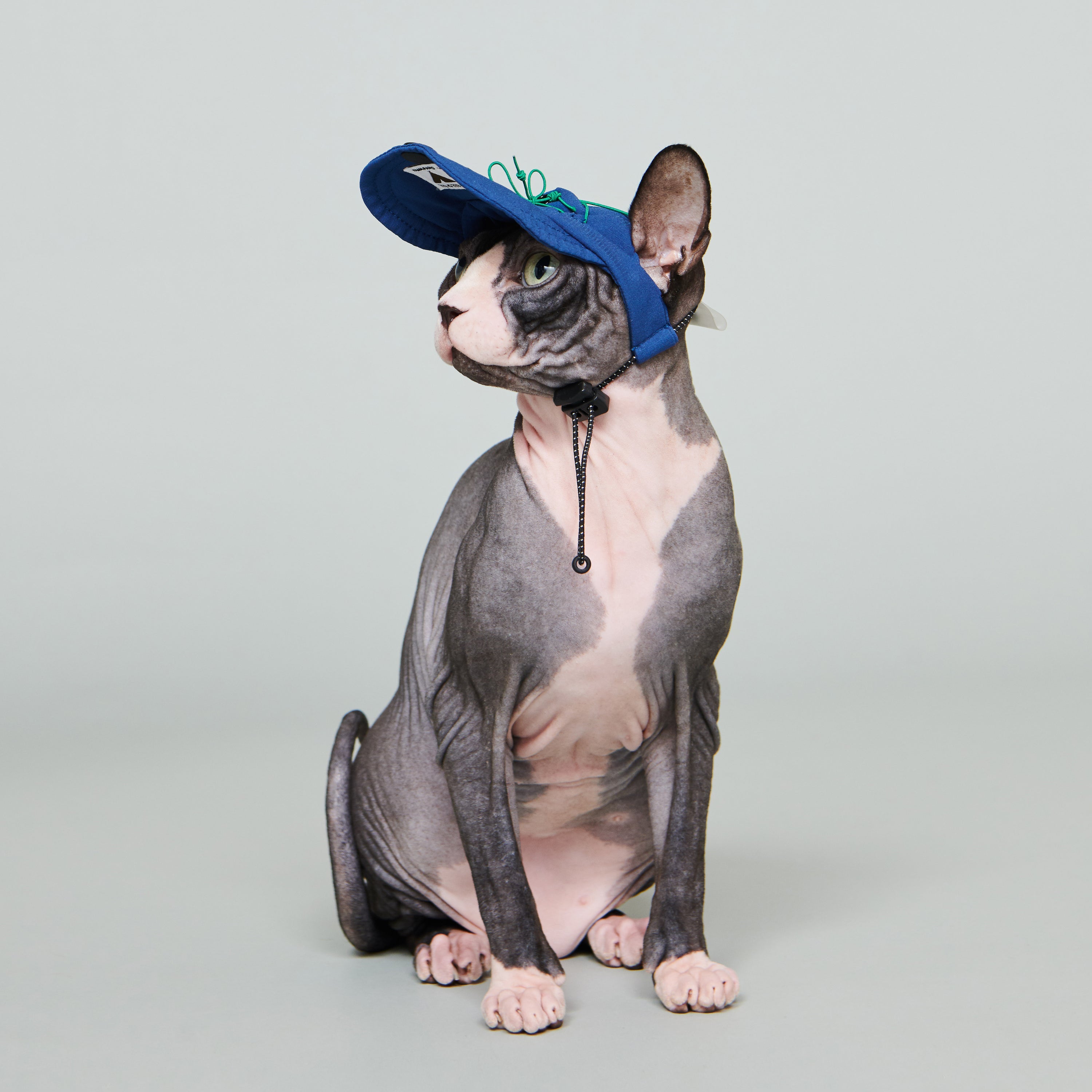 yama paws / baram cap navy