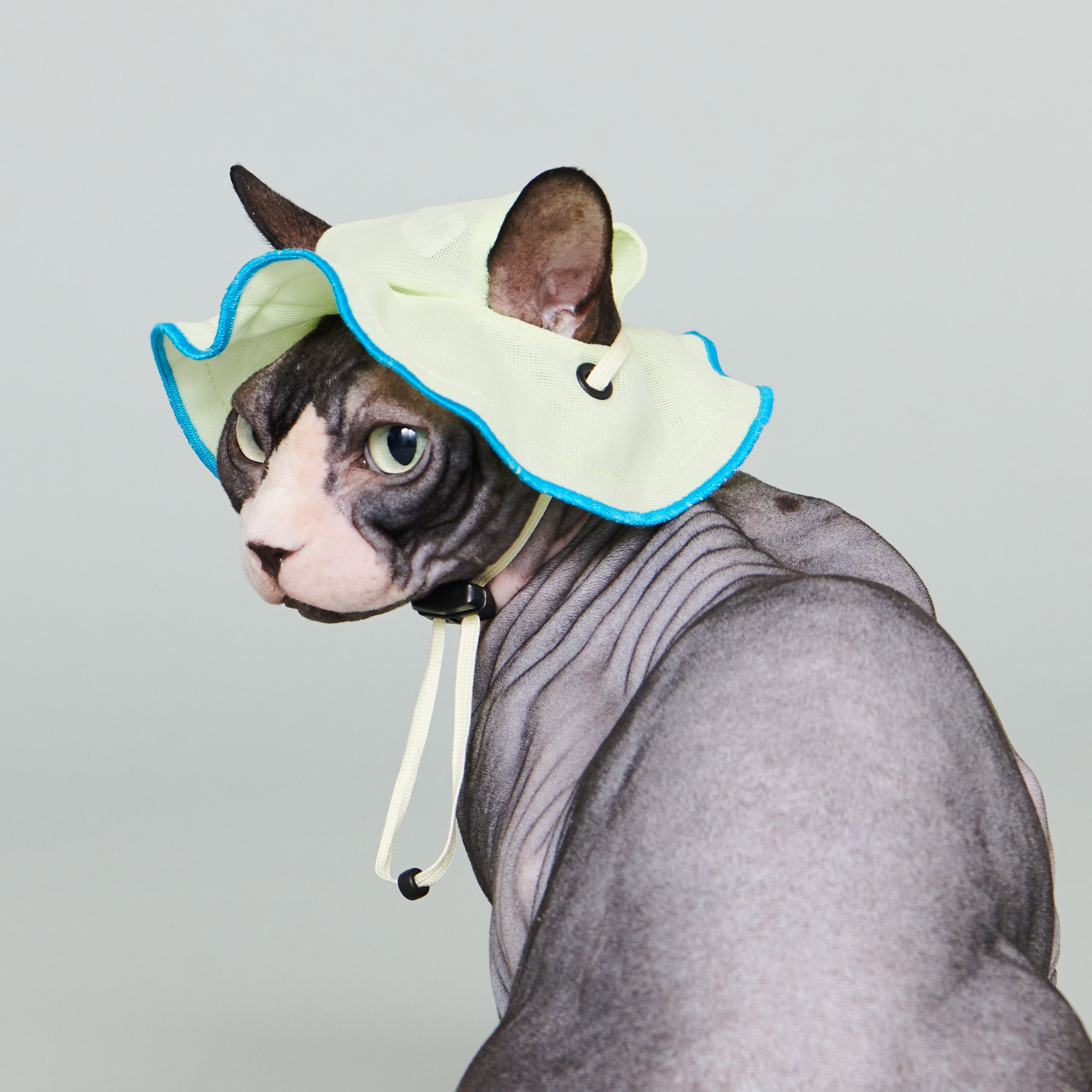 asteroid / andersen mesh petal hat lime yellow