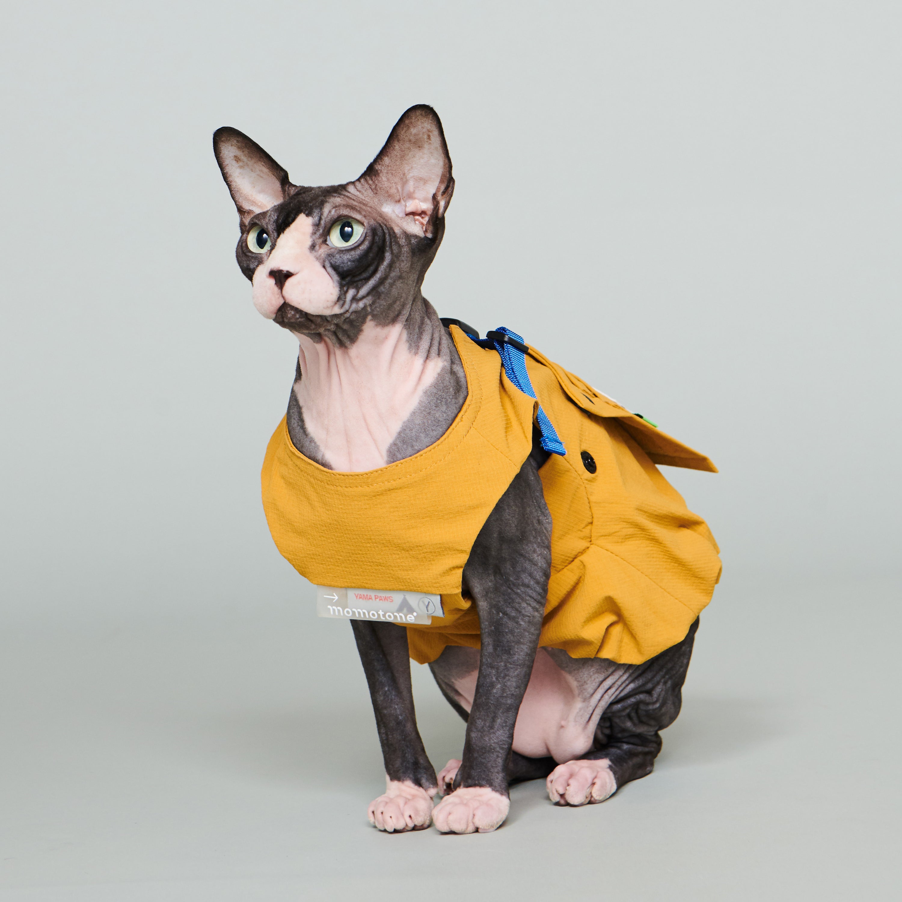 yama paws / soom vest mustard