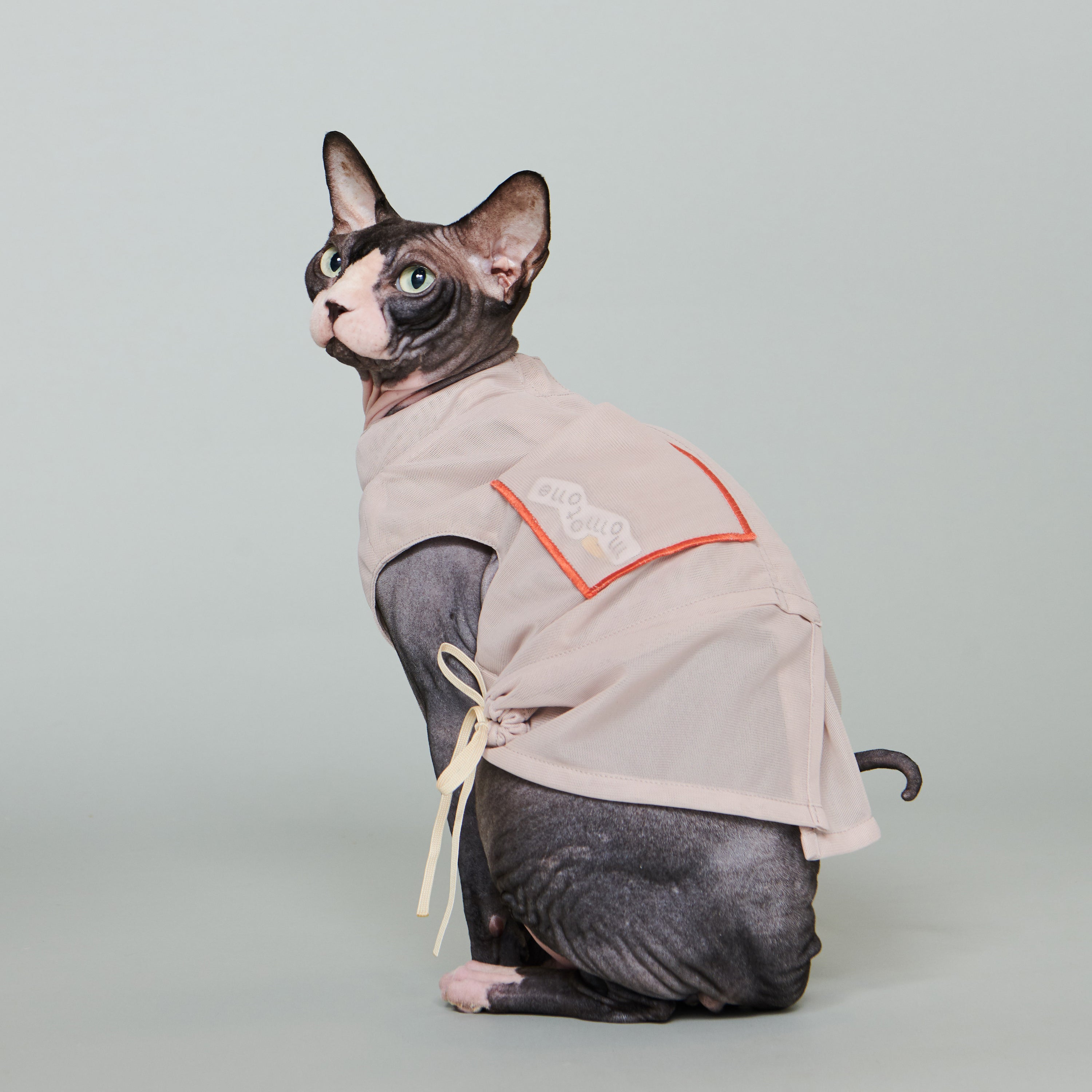 asteroid / andersen mesh jacket nude