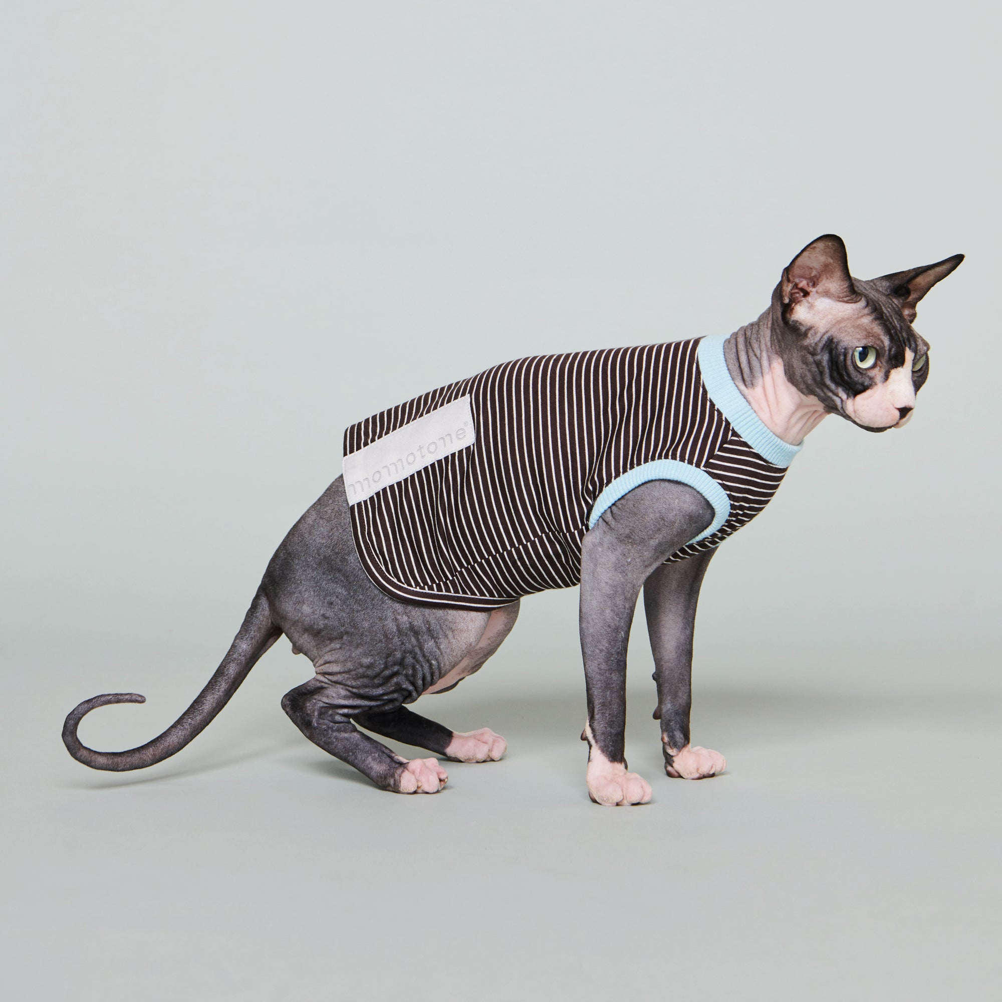 basics / striped vest oreum