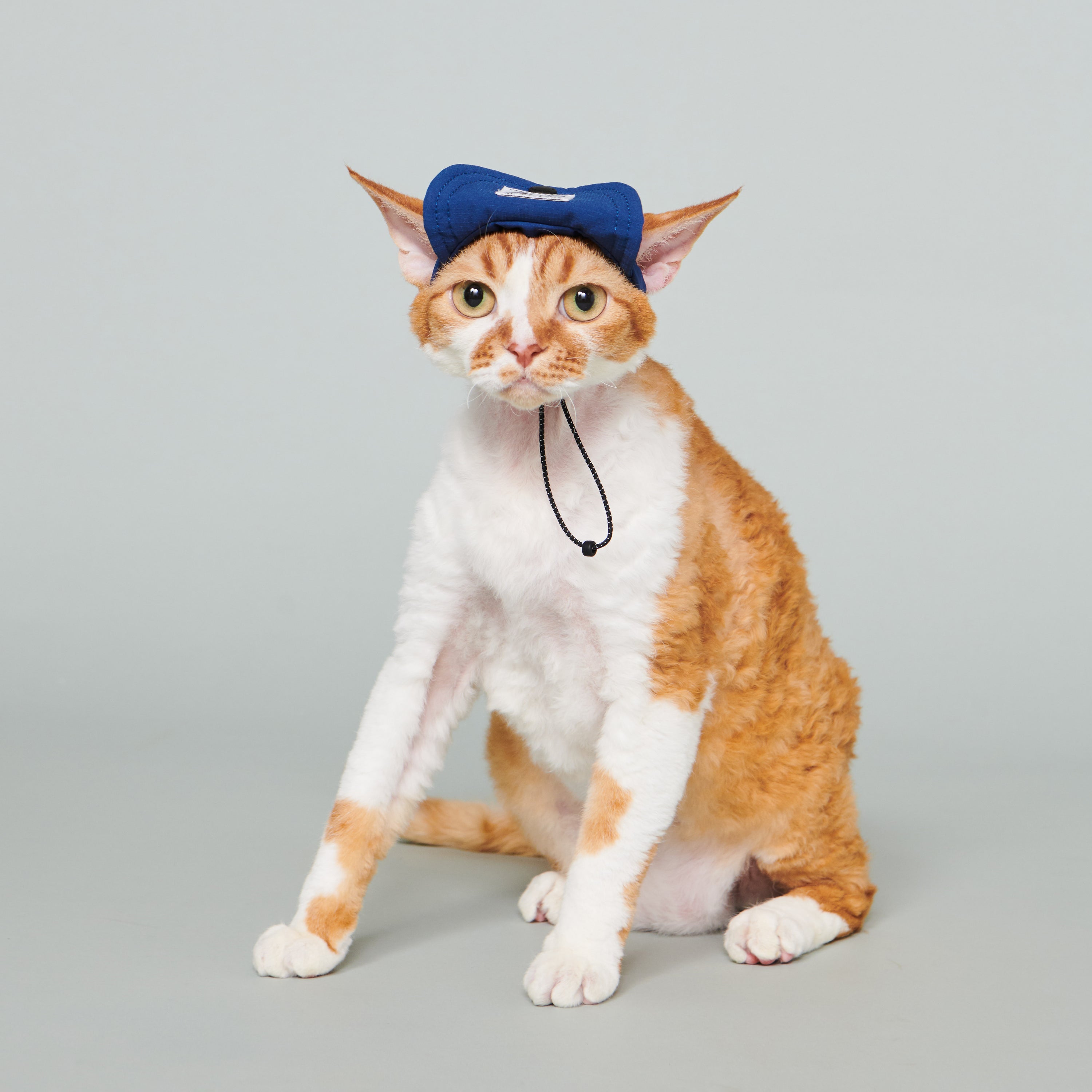 yama paws / baram cap navy