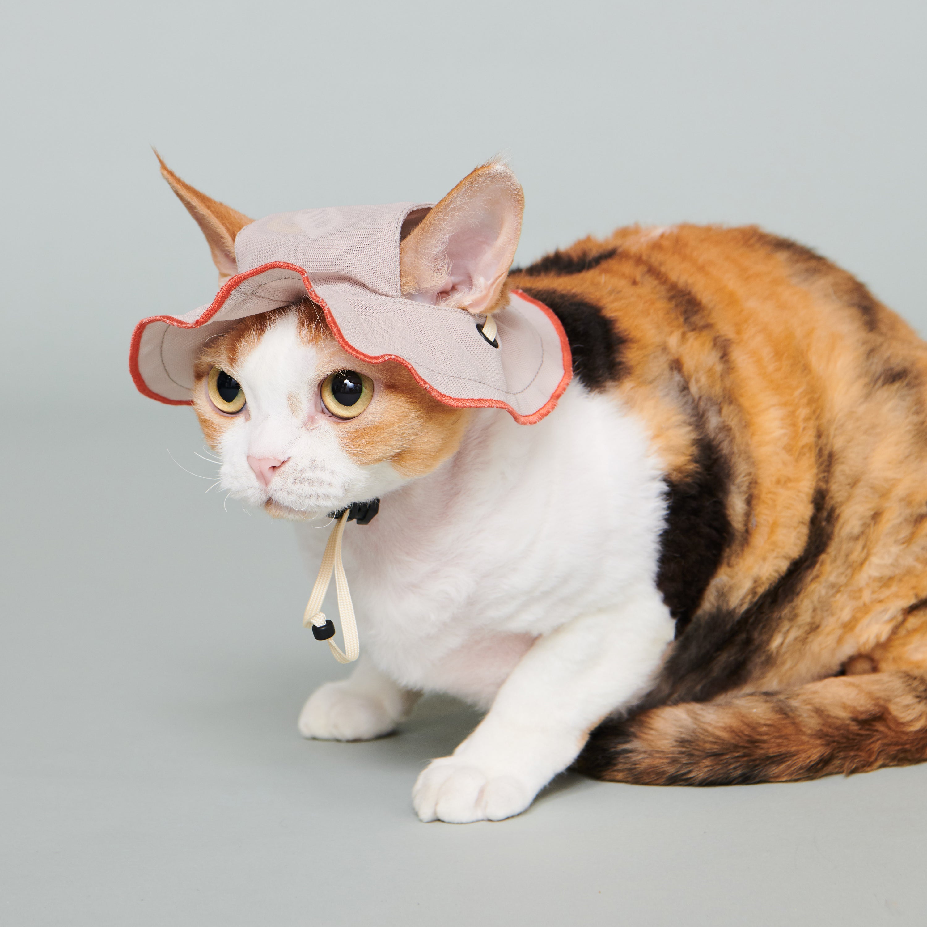 asteroid / andersen mesh petal hat nude