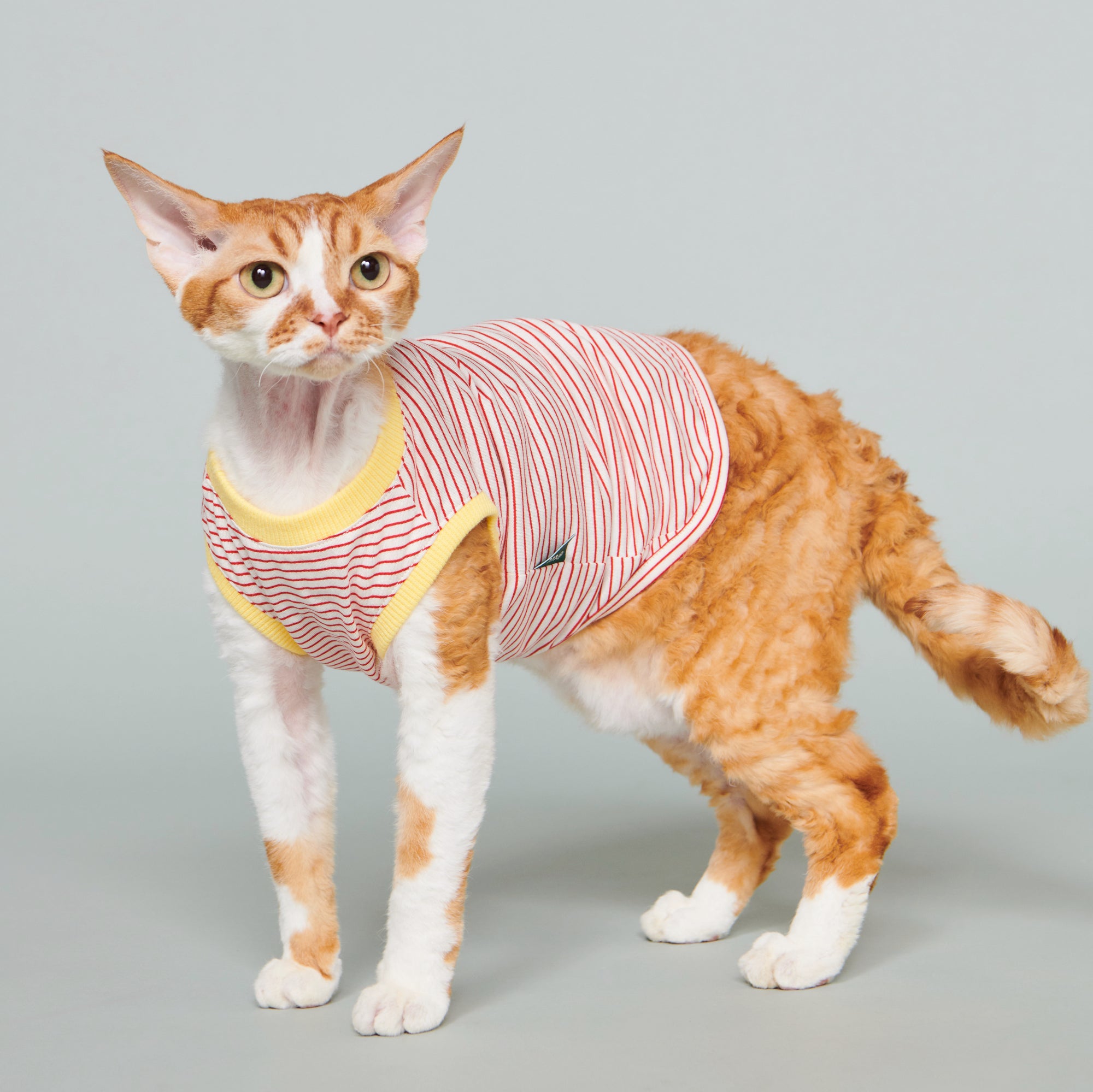 basics / striped vest halla