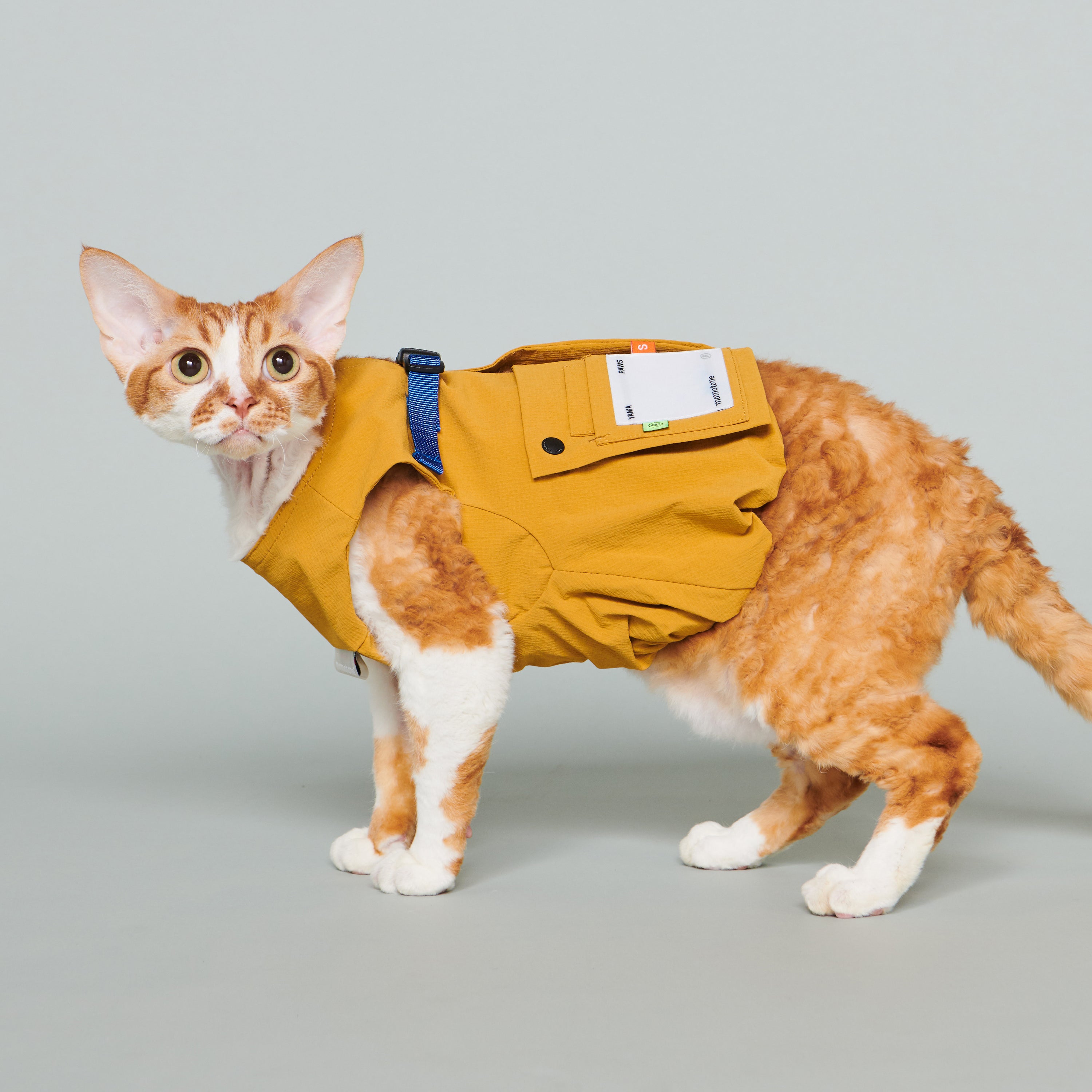 yama paws / soom vest mustard