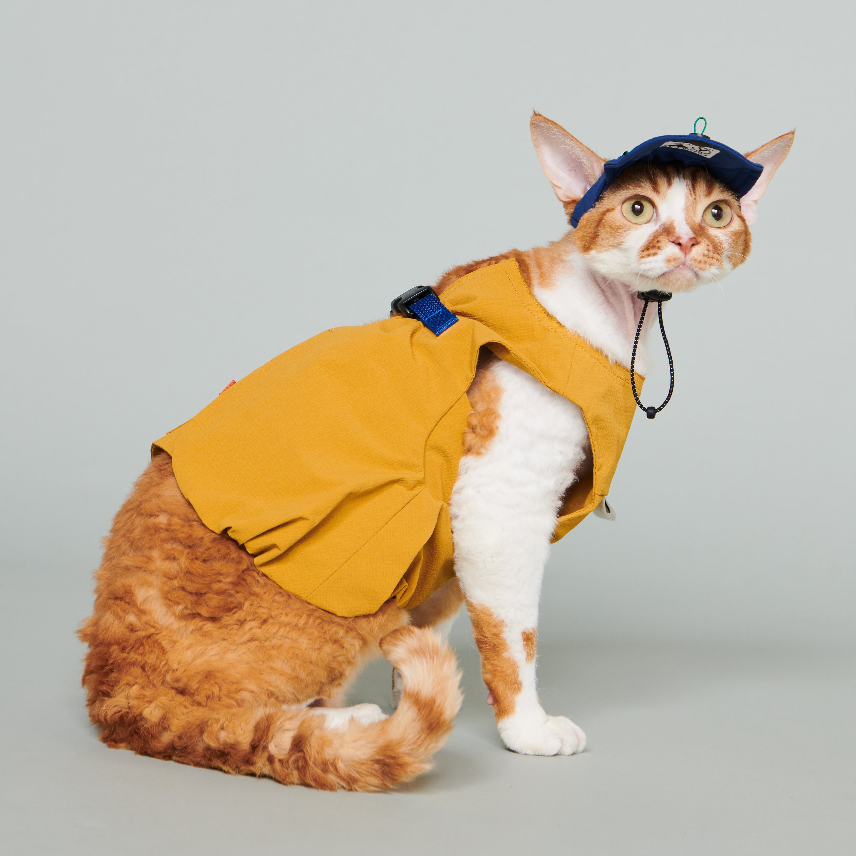 yama paws / soom vest mustard