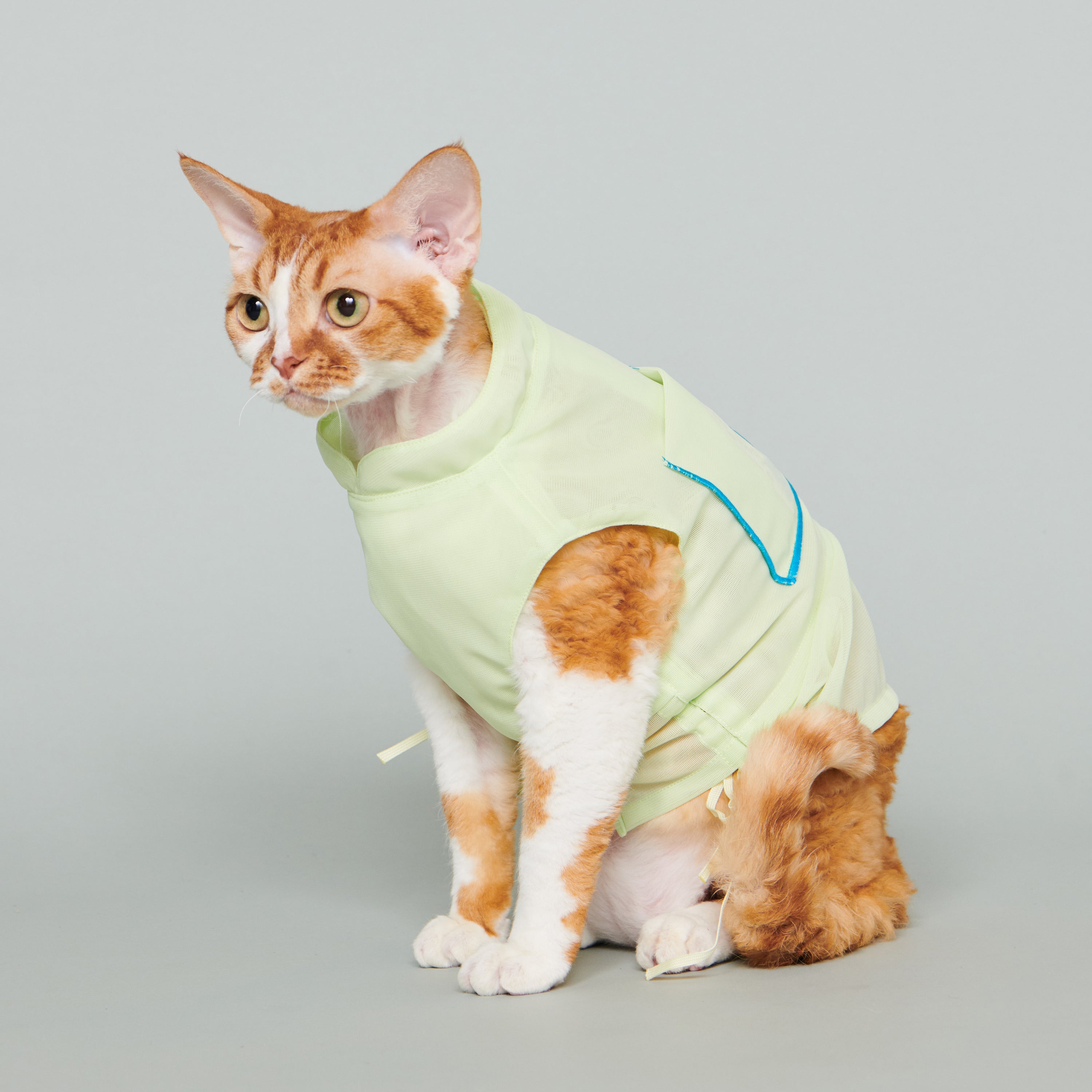asteroid / andersen mesh jacket lime yellow