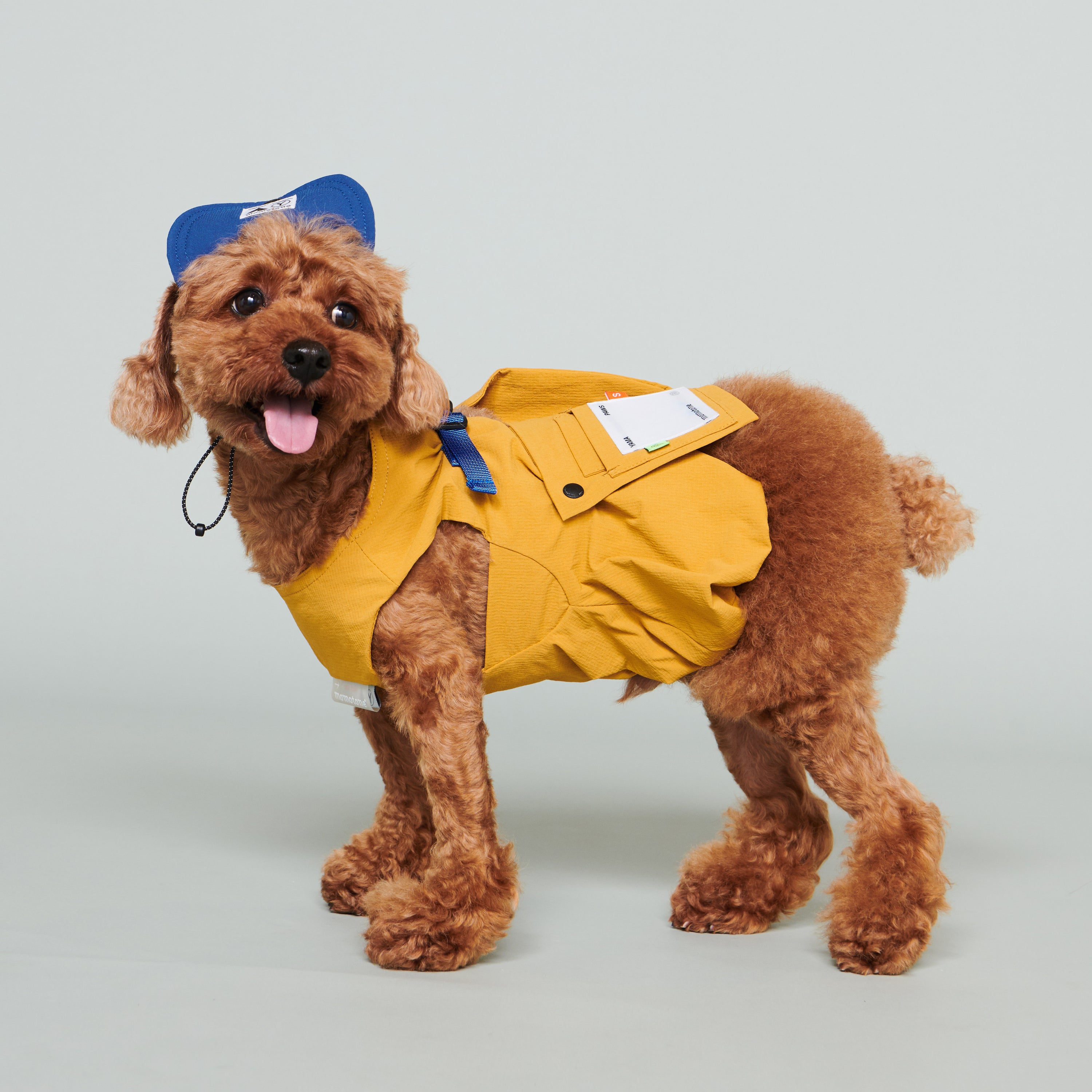 yama paws / soom vest mustard