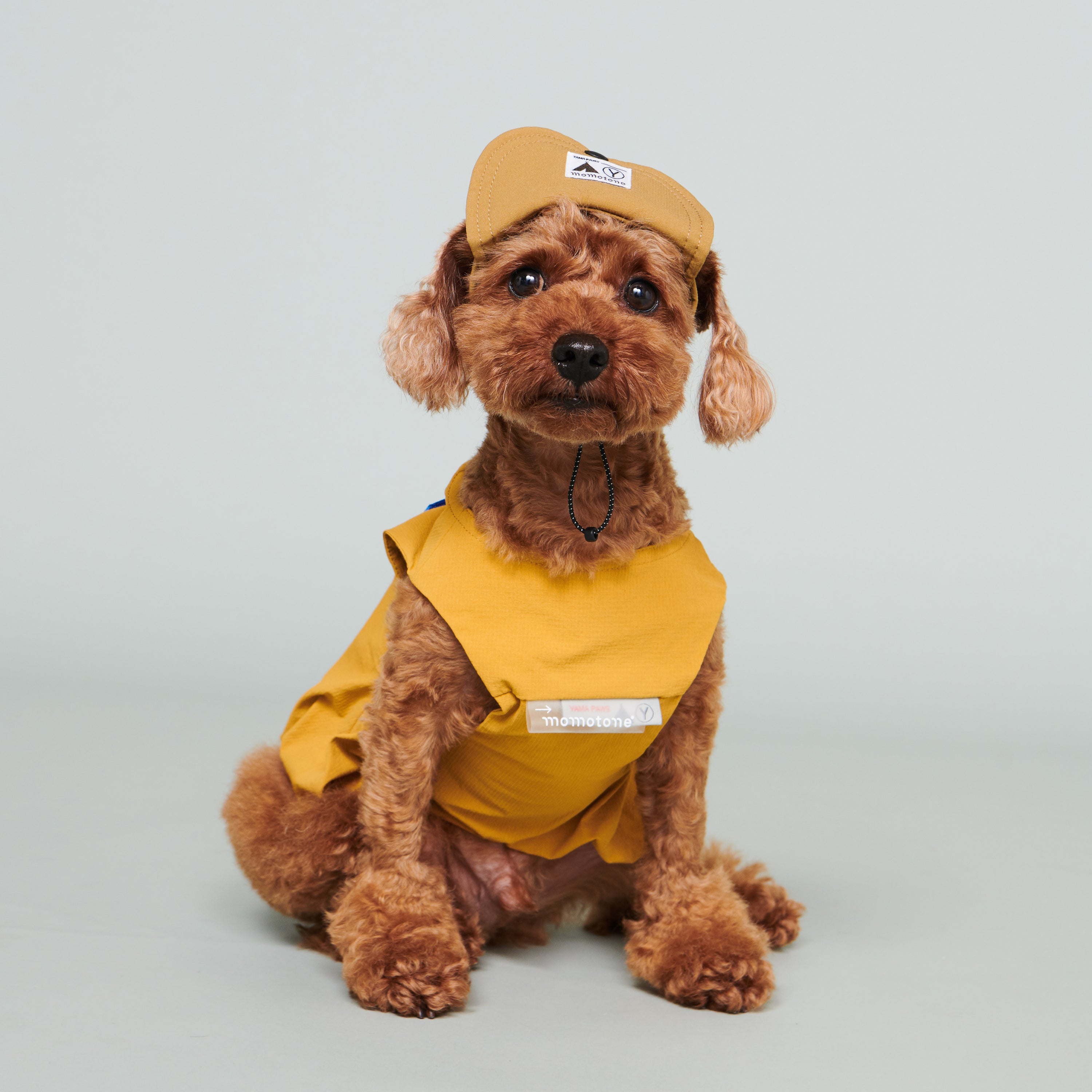 yama paws / baram cap mustard