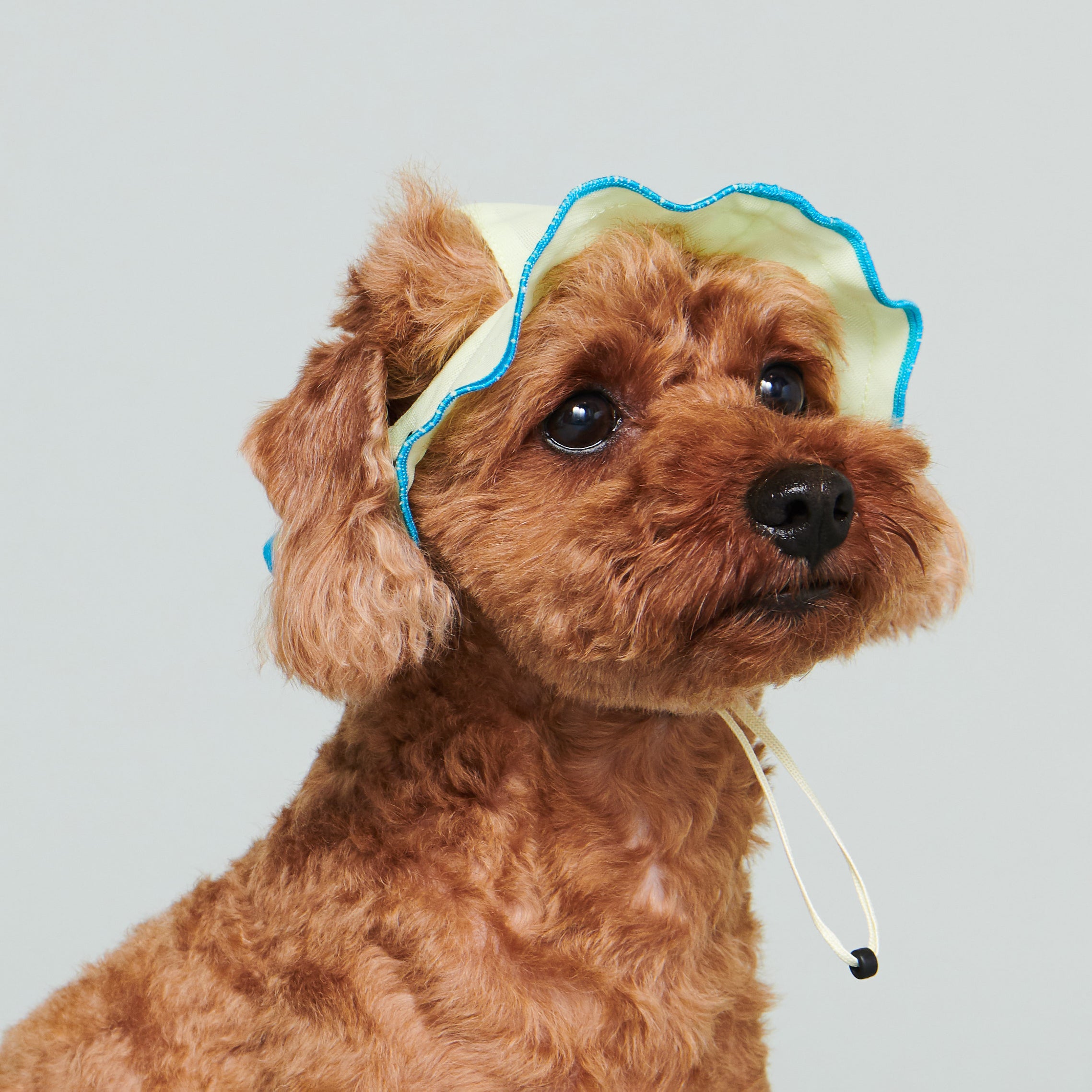 asteroid / andersen mesh petal hat lime yellow