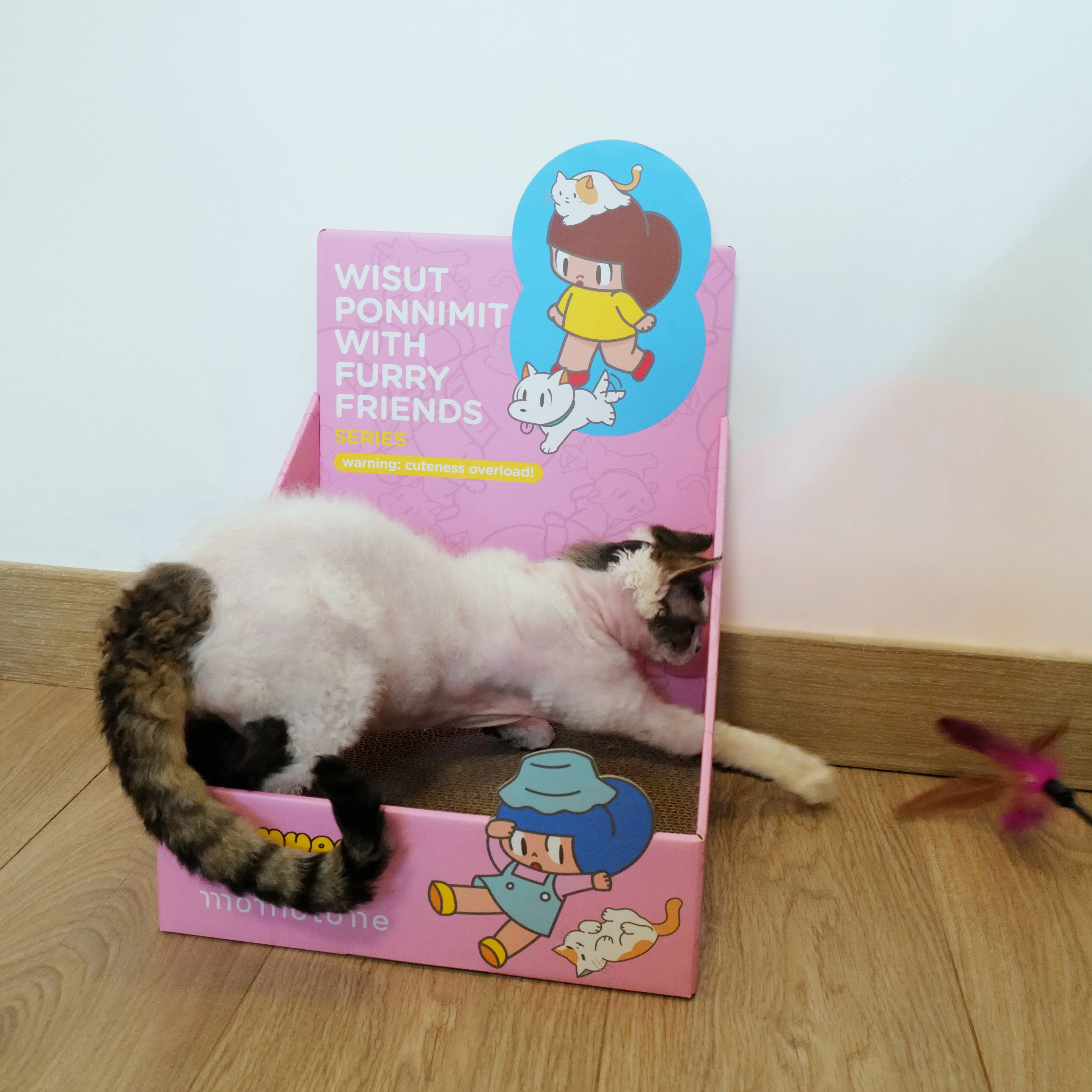 FROM SCRATCH motto_kuma X モットクマ Scratch mascot [all 4 types] – nipopo