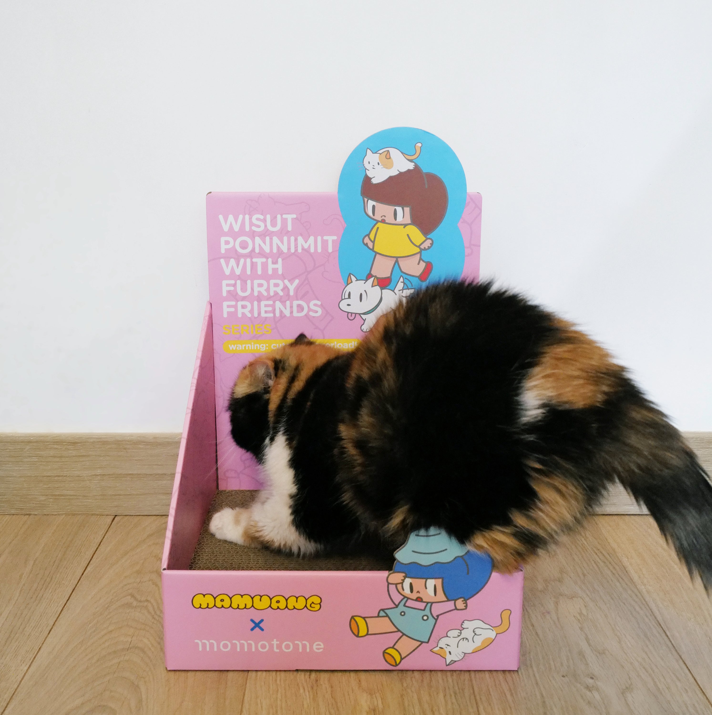 mamuang x momotone / mystery scratching box – momotone®