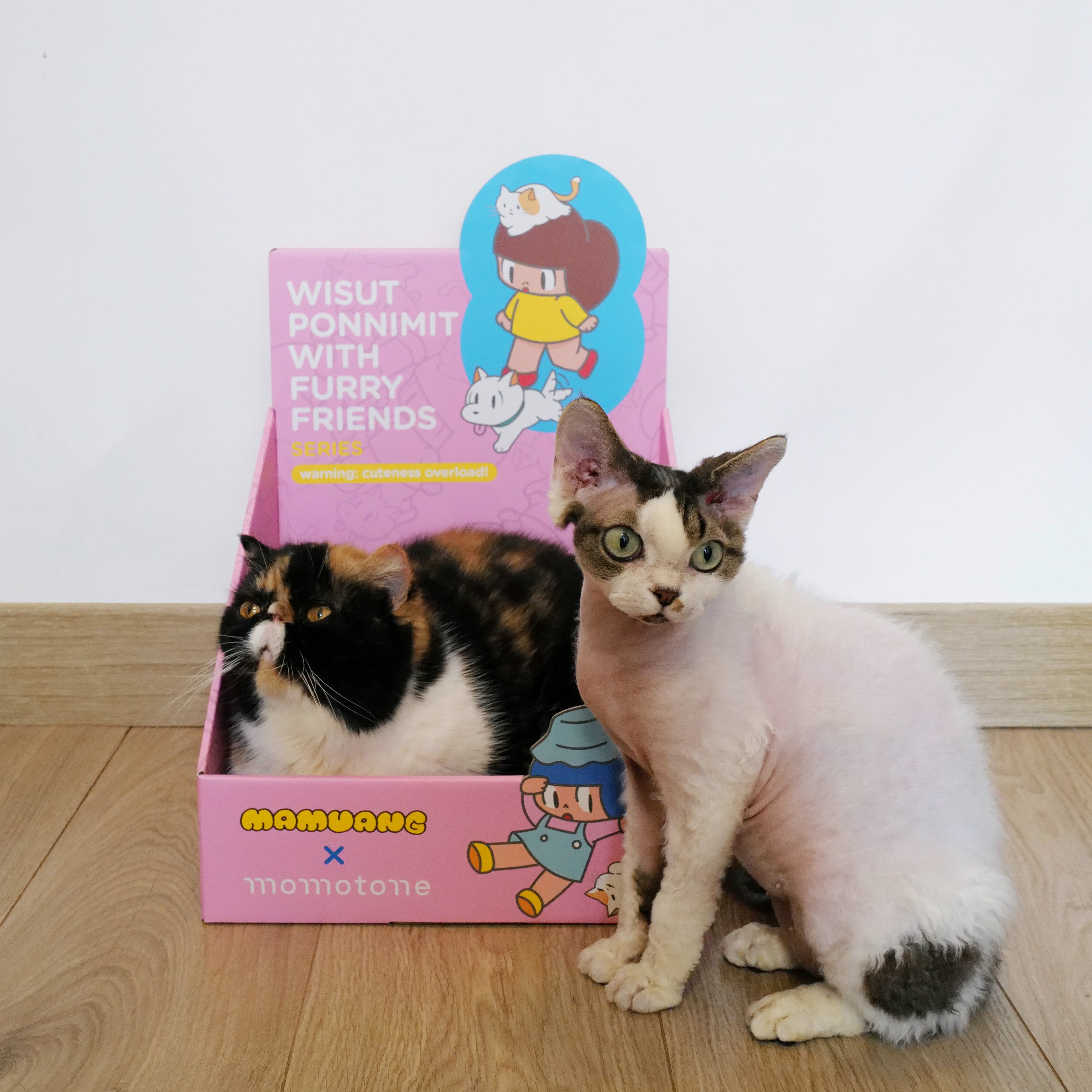 mamuang x momotone / mystery scratching box – momotone®