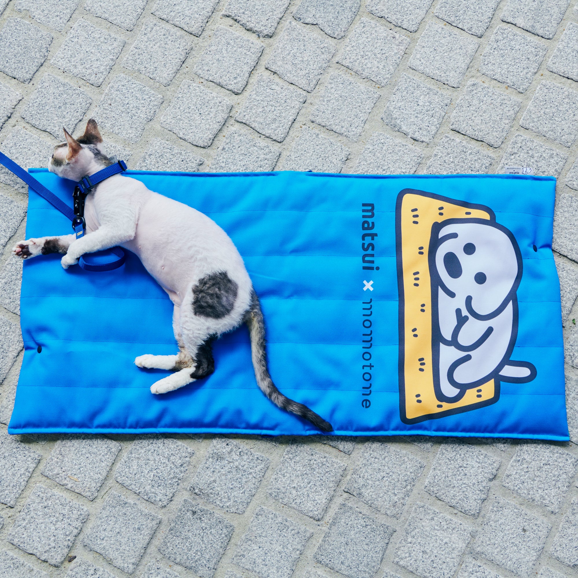 matsui x momotone / "come sit with me" sitting mat