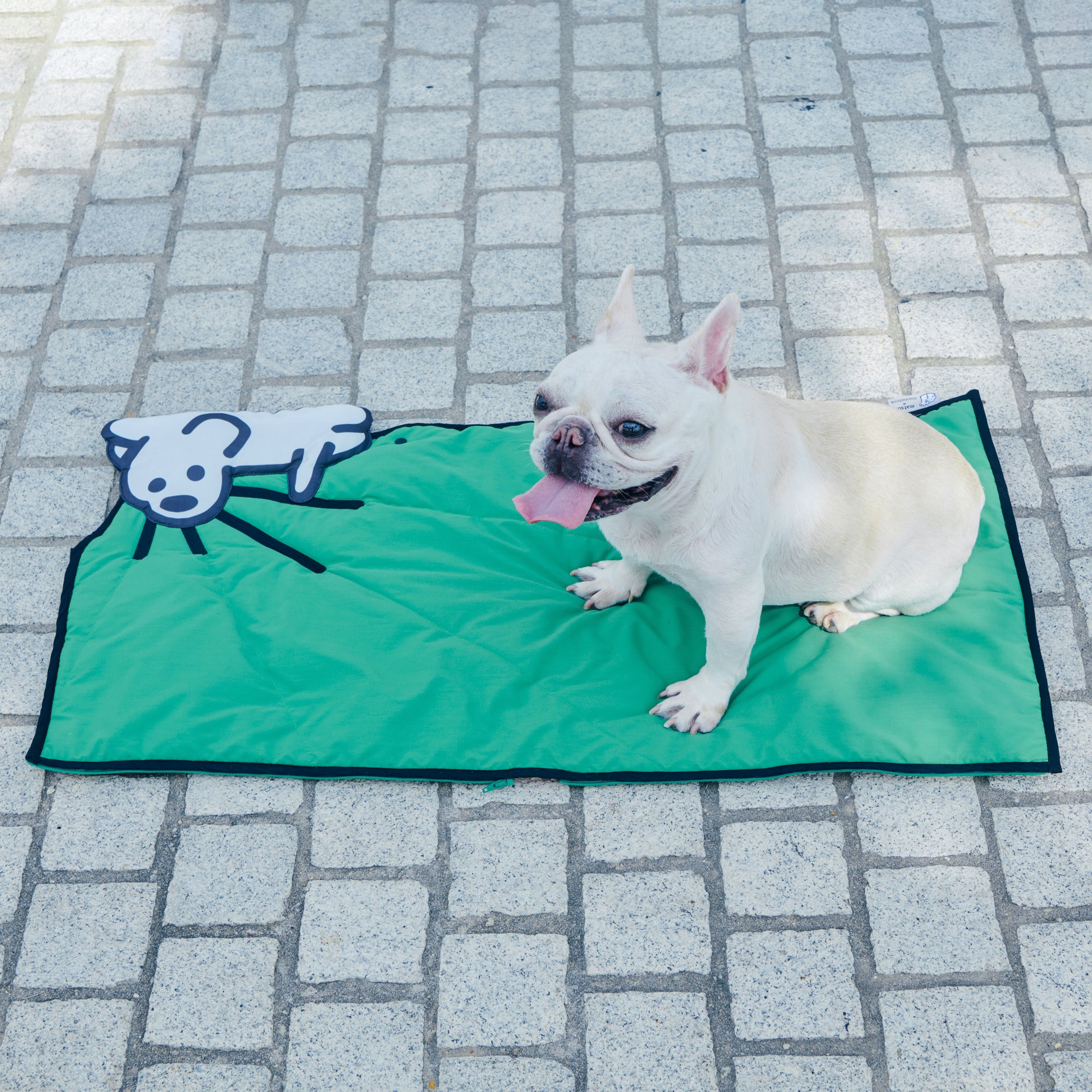 matsui x momotone / "chew chew chew" sitting mat