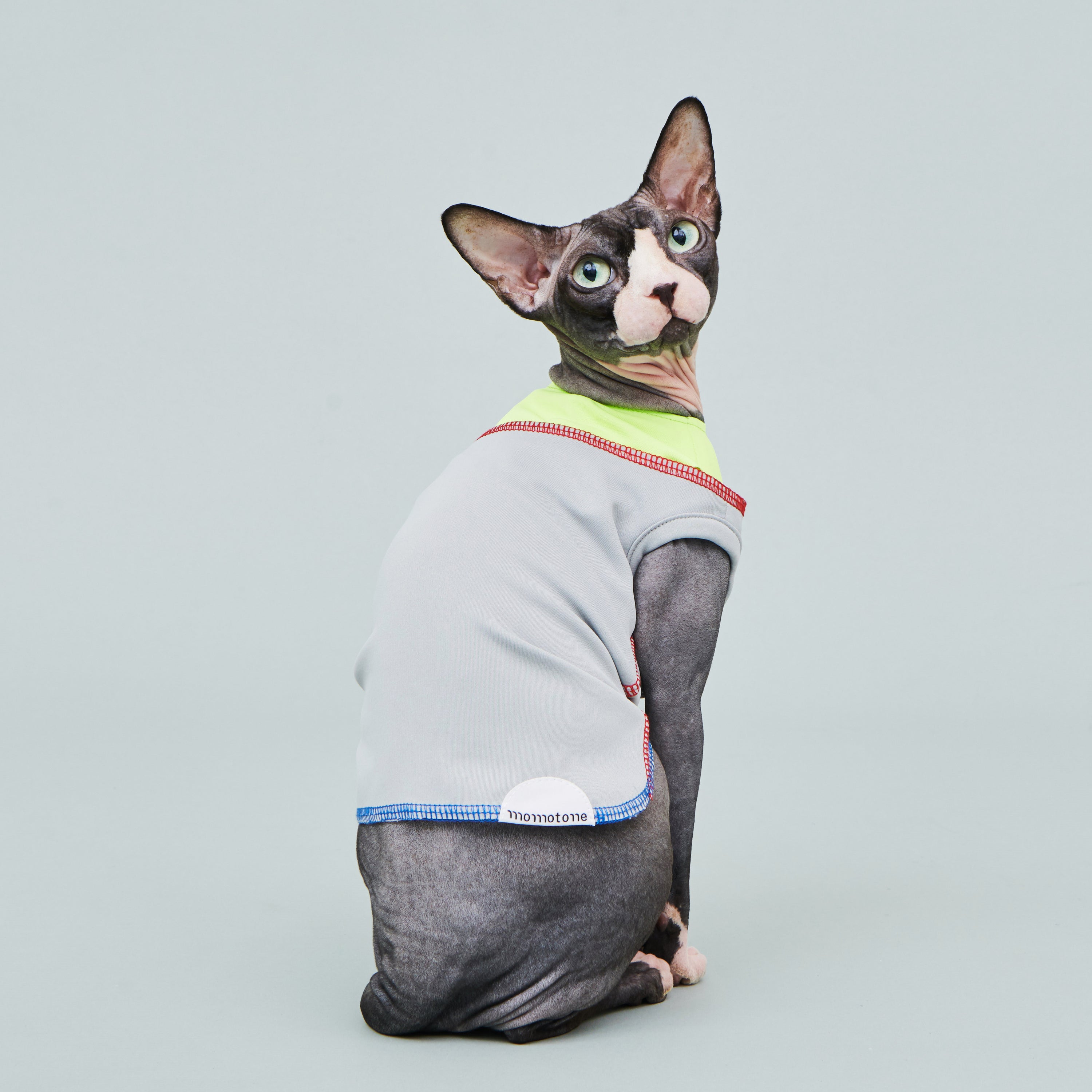 asteroid / cooling vest grey spark